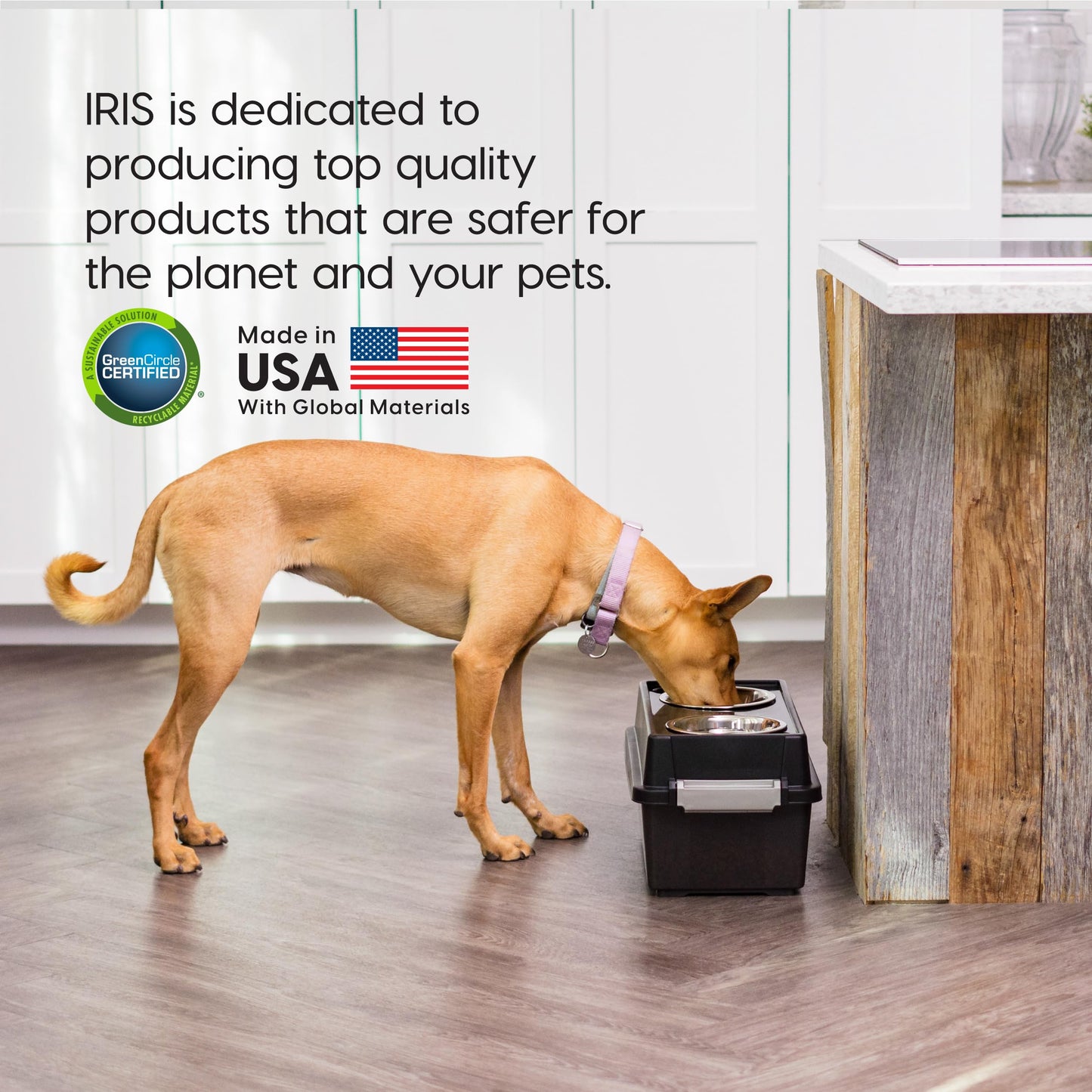 Comedero Elevado Mediano IRIS USA Humo Negro con Contenedor Hermético para Mascotas y Cuencos Removibles