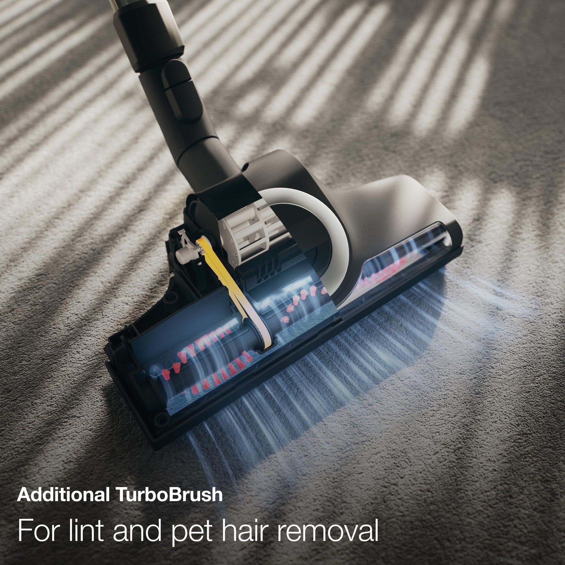 Miele Boost CX1 Aspiradora para Gatos y Perros, compacta, Color Negro obsidiana