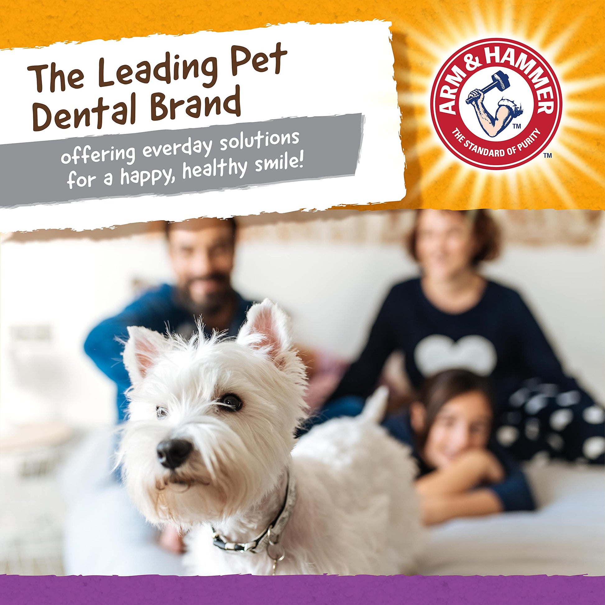 Arm & Hammer, Juguete para Perro Mini Cocodrilo de 5.2"