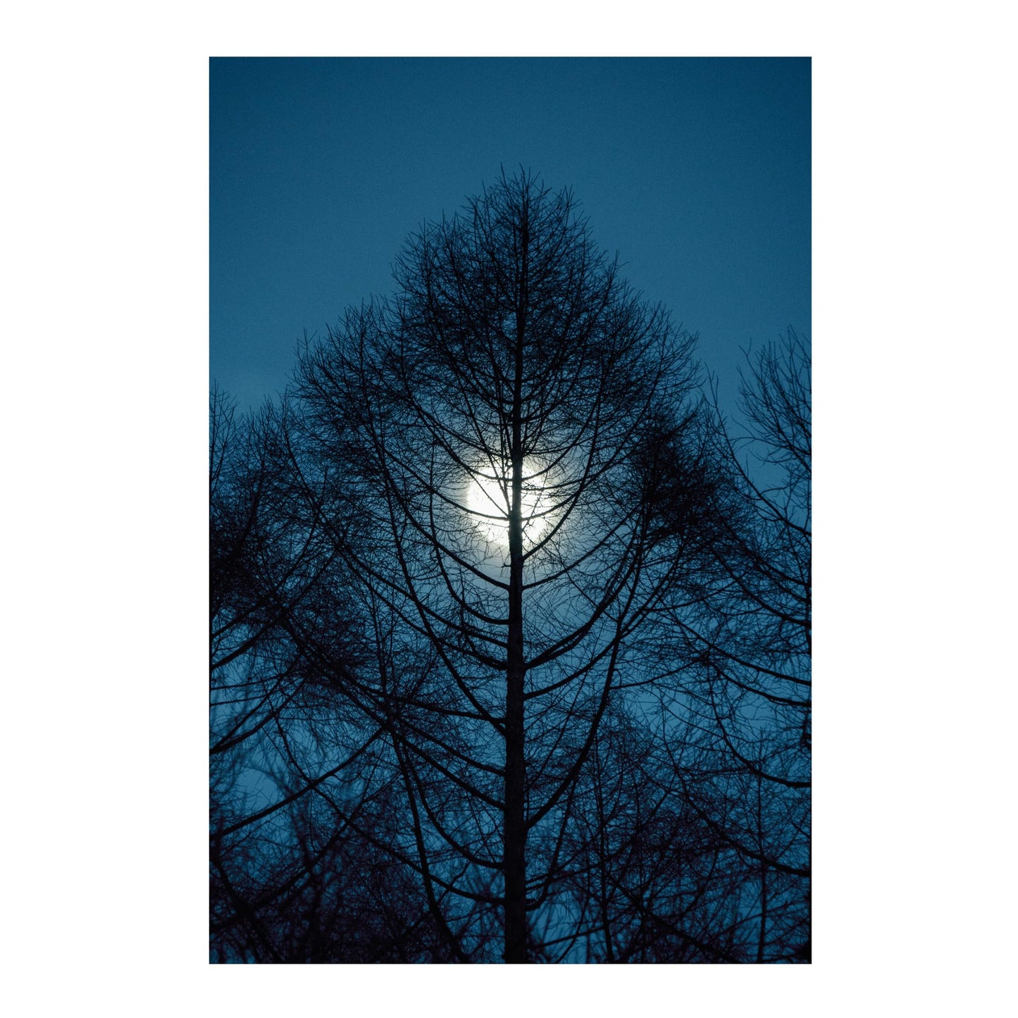 Lente Zoom Sigma 16-300 mm Contemporáneo 3.5-6.7 DC OS