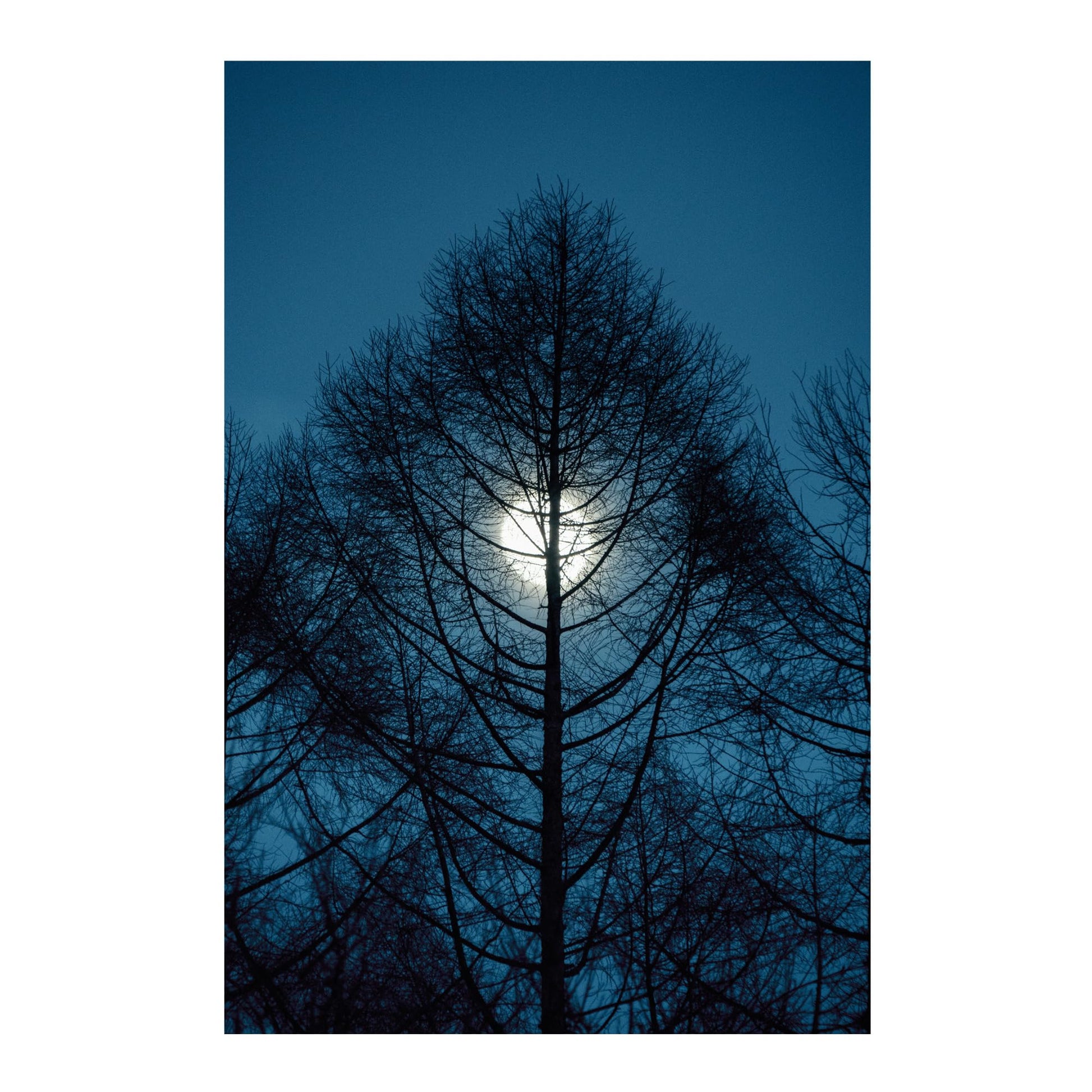 Lente Zoom Sigma 16-300 mm Contemporáneo 3.5-6.7 DC OS