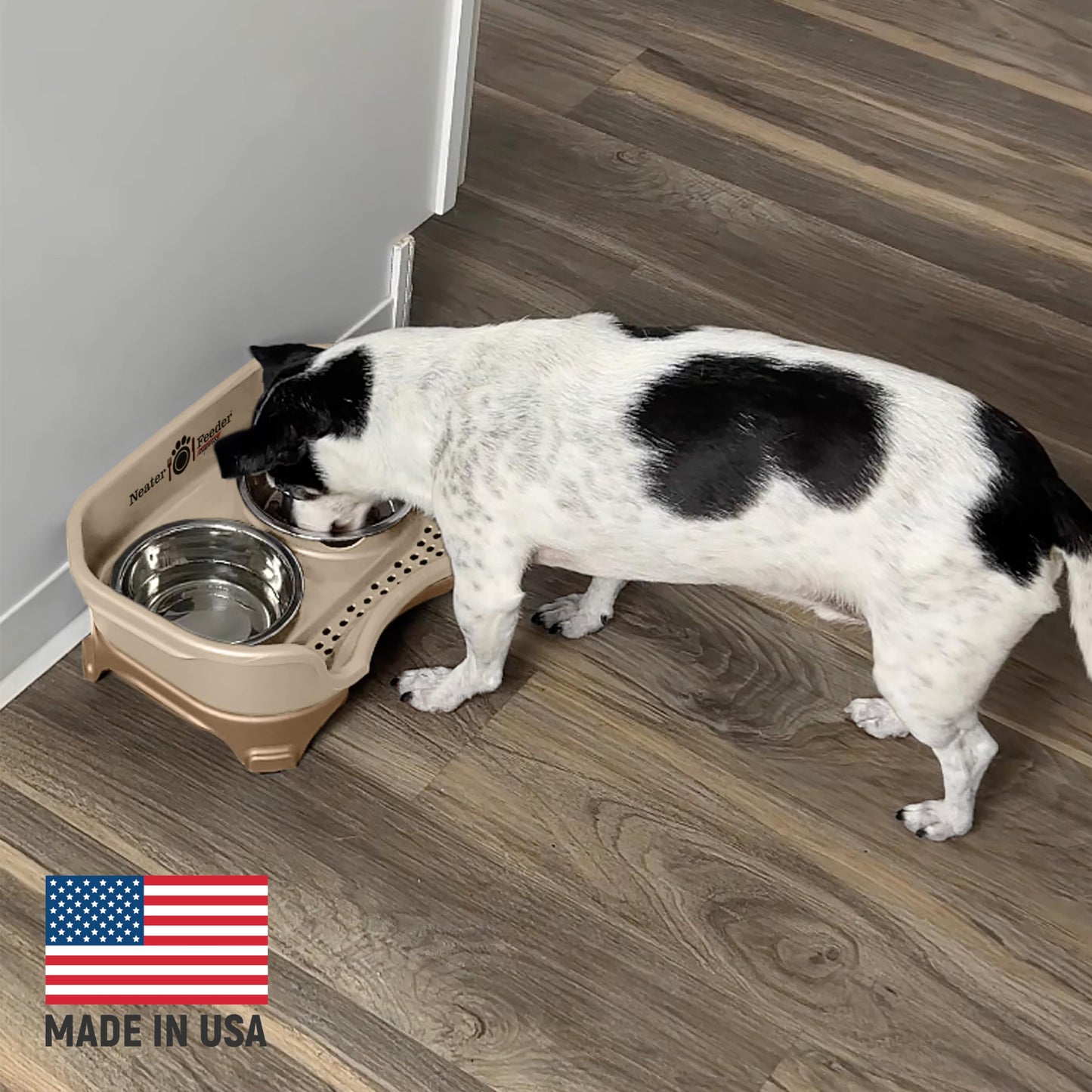 Comedero Neater Feeder Express Acero Inoxidable Diferenciador para Perros Pequeños