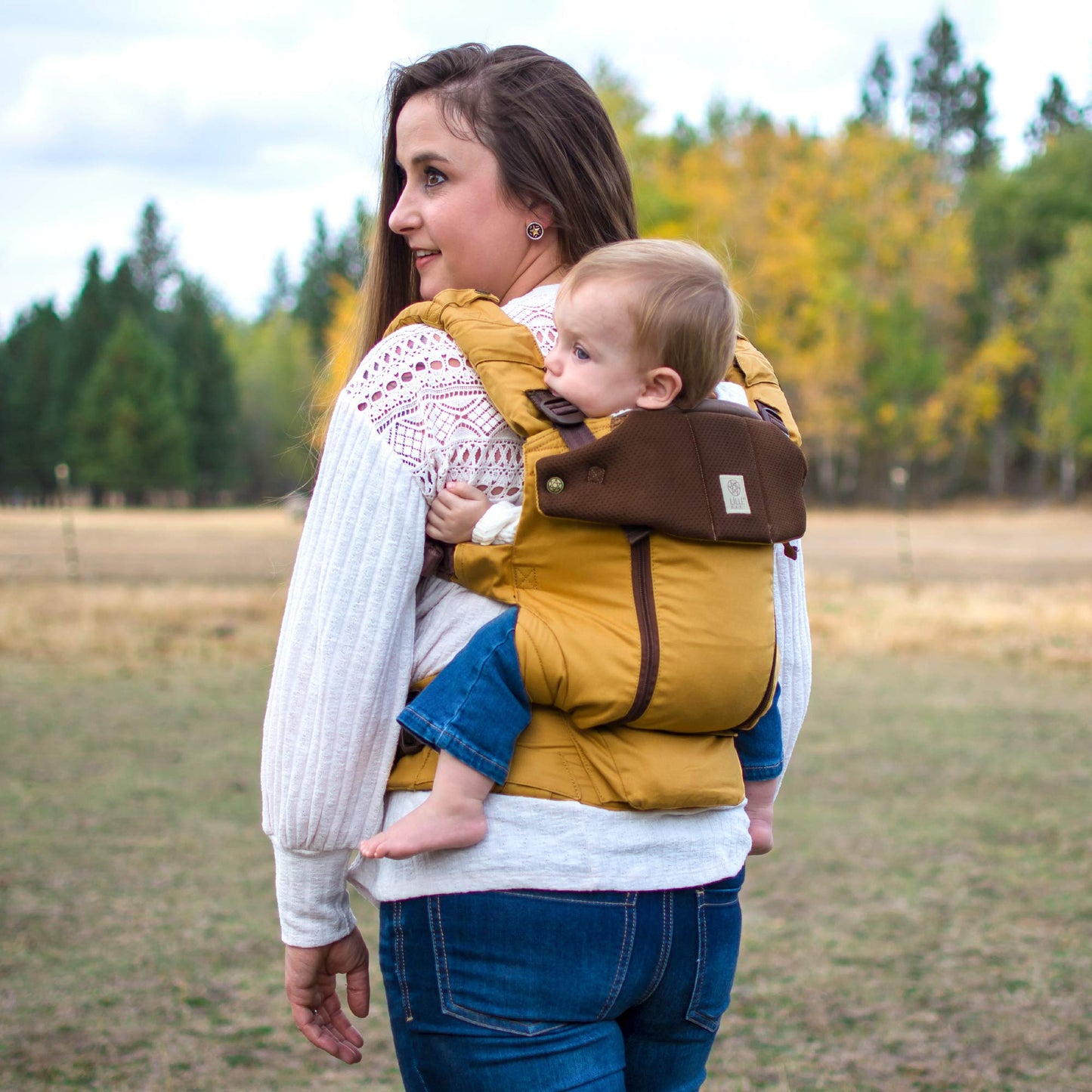 LÍLLÃ‰baby Serenity - Portabebés ergonómico para todas las posiciones, de recién nacido a niño, soporte lumbar con bolsa convertible, cosecha