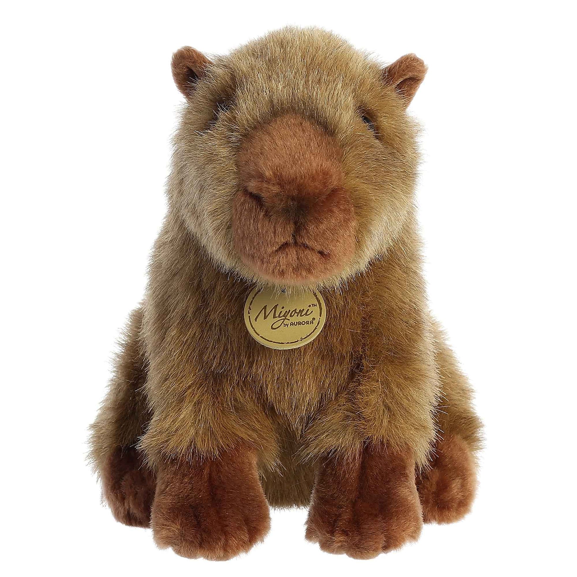 Capibara Aurora Miyoni 22.86cm