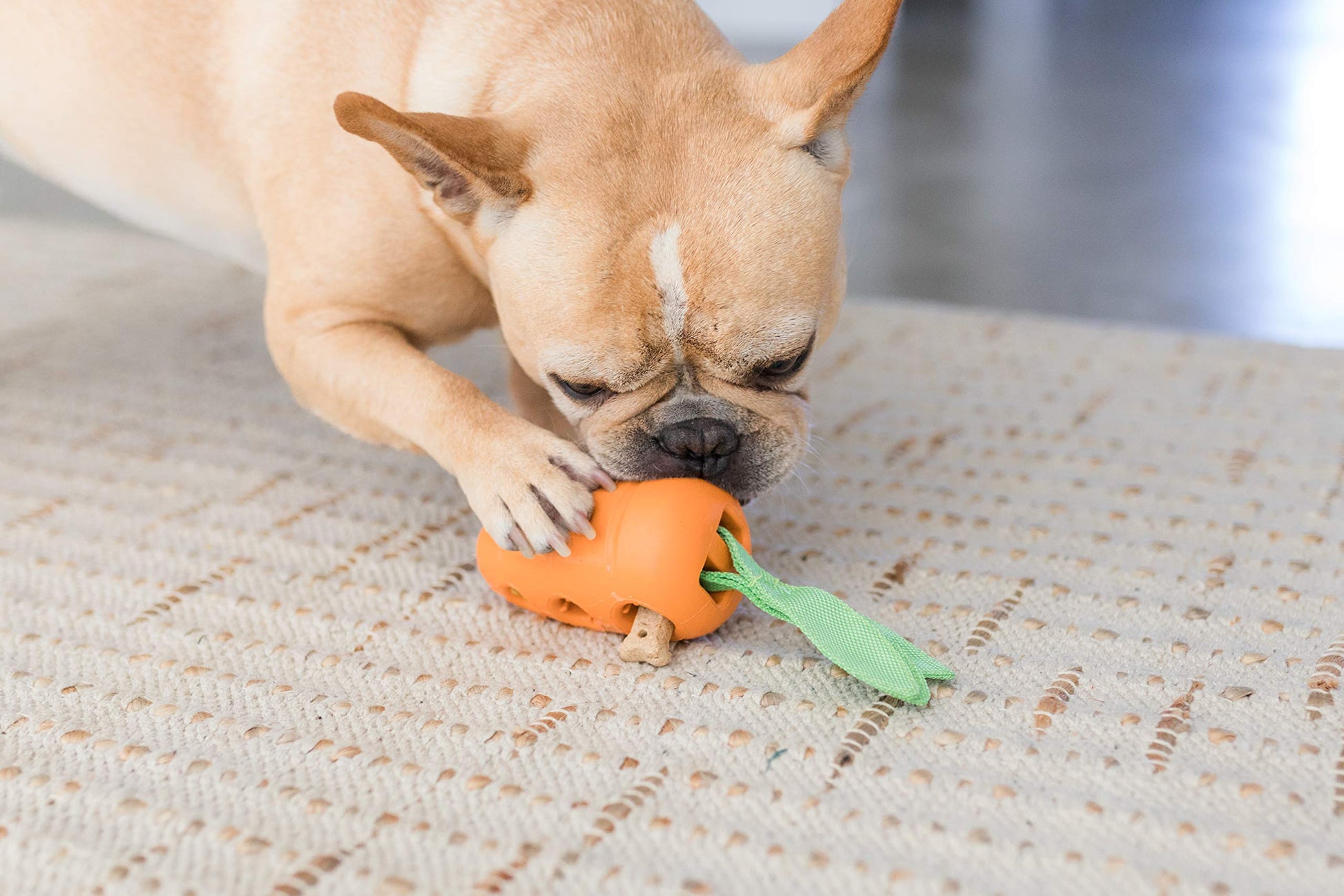 Juguete Interactivo Petstages Zanahoria para Perros