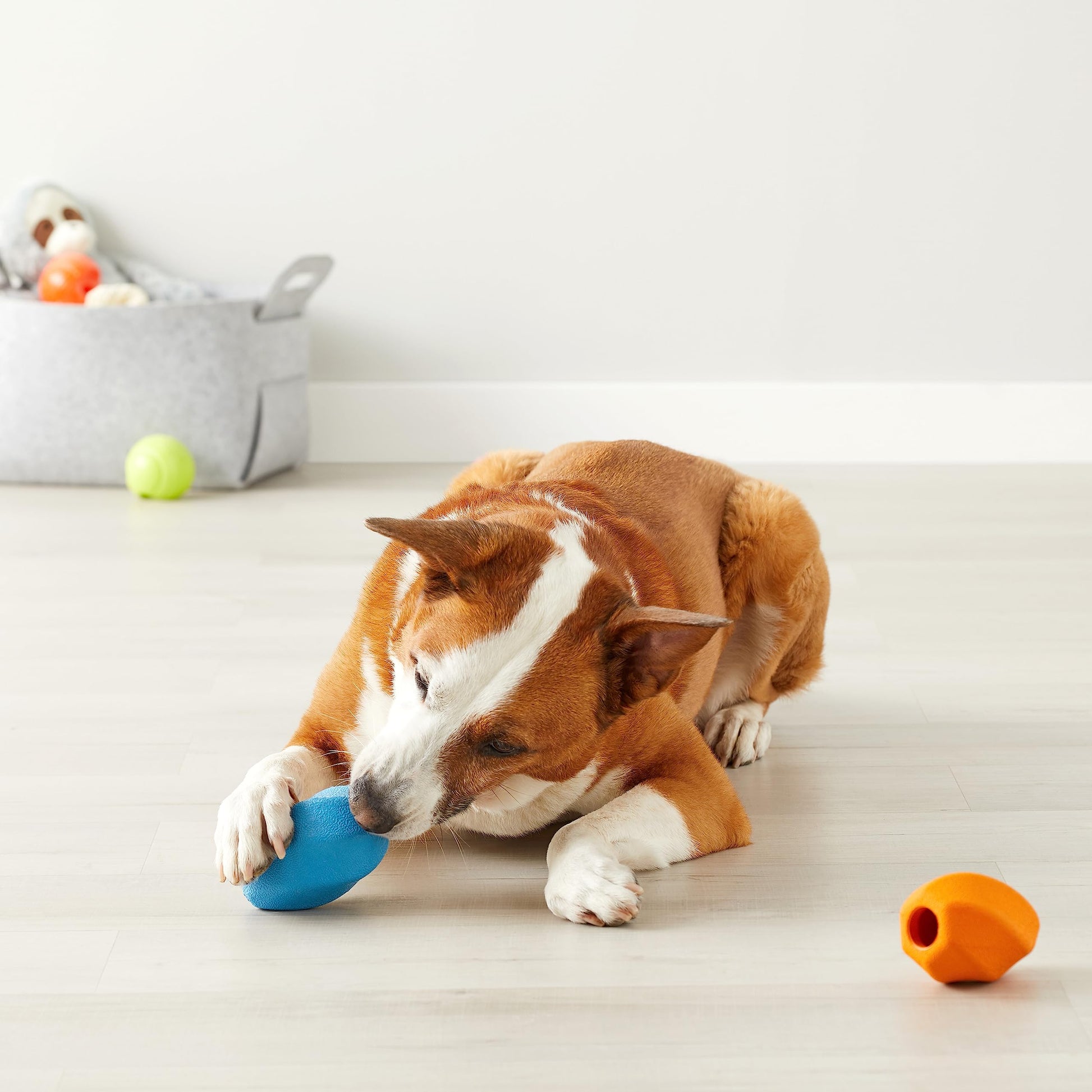 Juguete para perro, masticable dispensador de premios, 2-Pack
