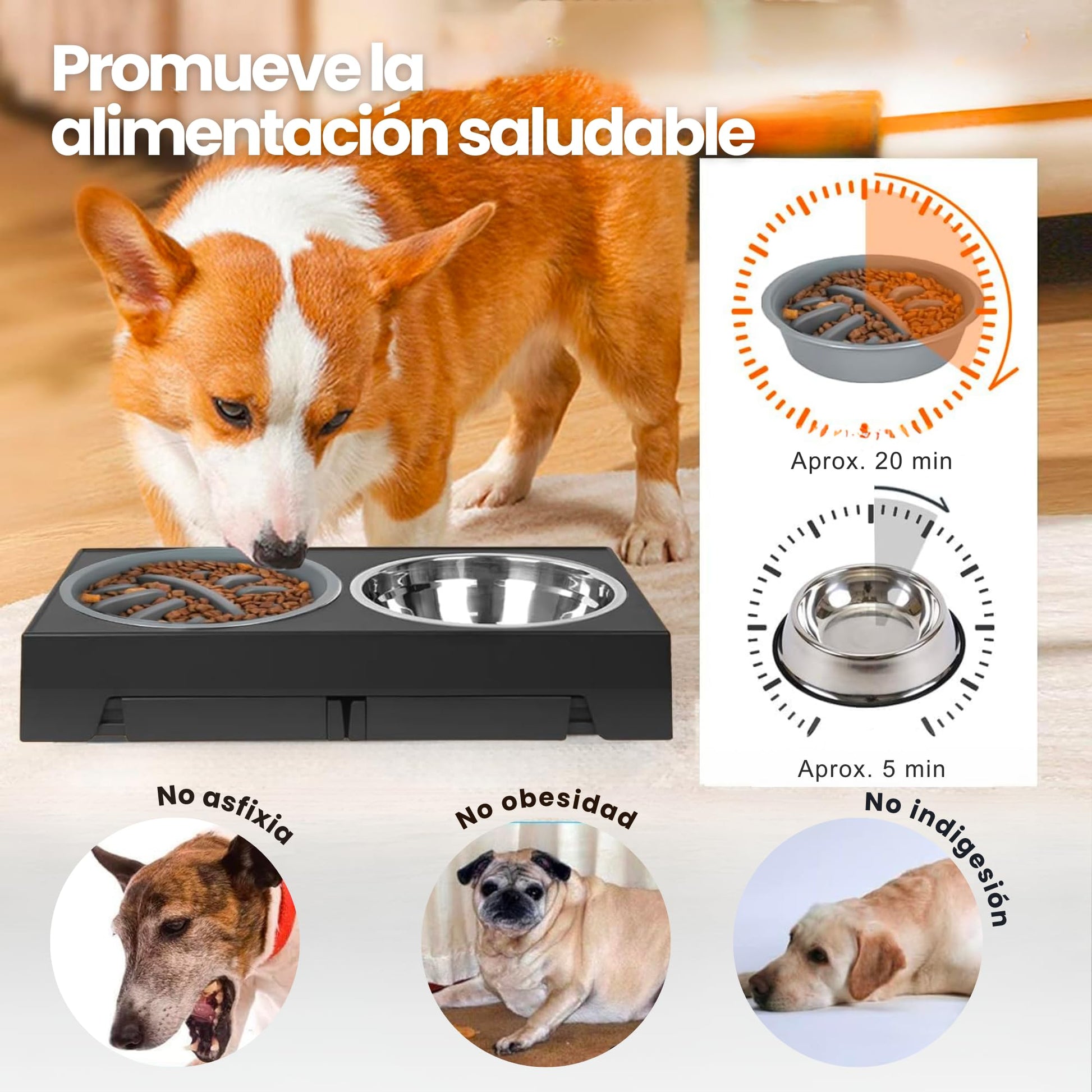 Fastpet Comederos Elevados para Perro y Gato - Comedero para Perro Ajustable Configuraciones, con Plato para Perro de Alimentación Lenta, Tazone Bebedero Acero Inoxidable de 1,6 L y Plato Slow Feed