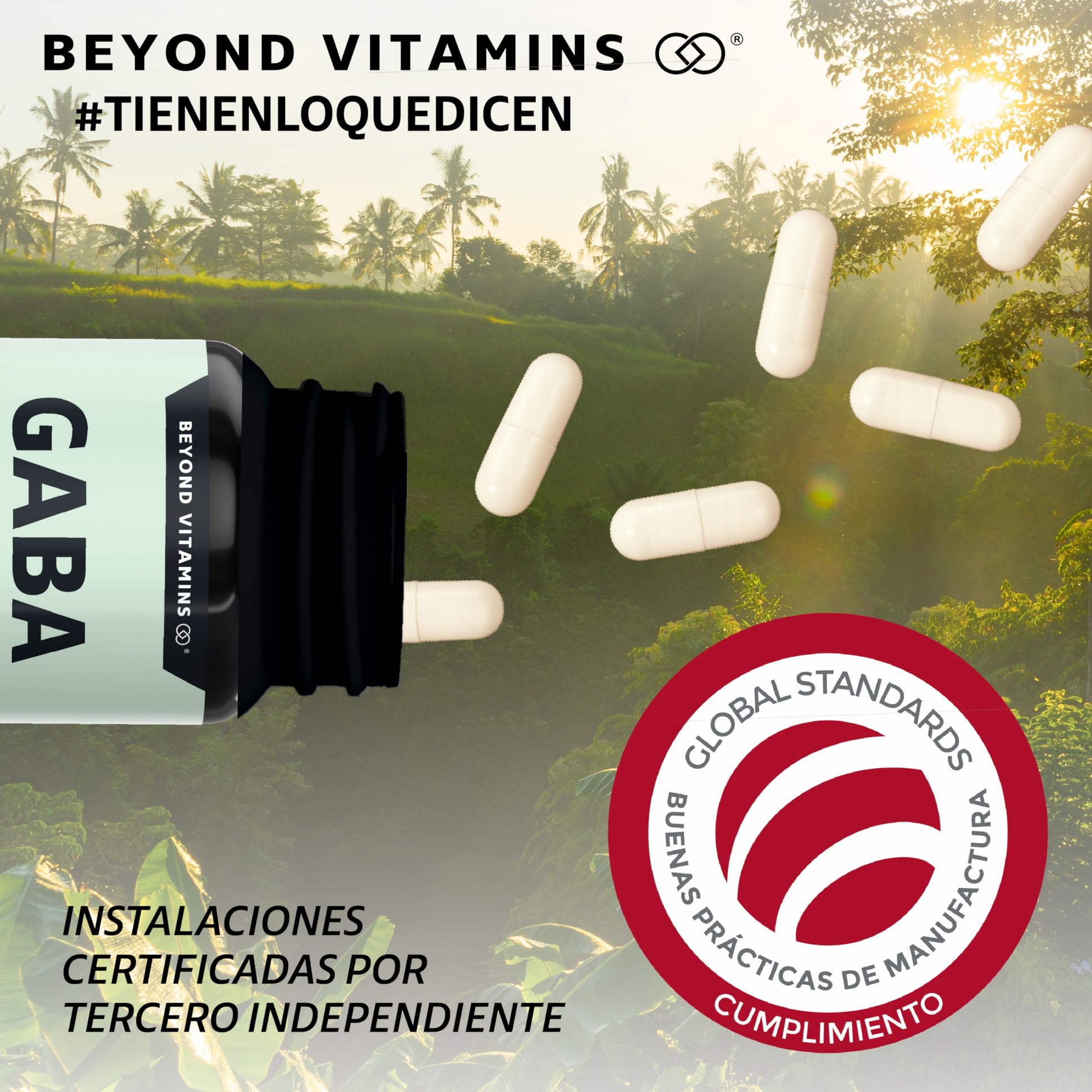Beyond Vitamins | GABA 1000 mg, con cápsulas de tecnología vegana, Ácido Gamma Aminobutírico Sin rellenos ni ingredientes innecesarios, 60 cápsulas