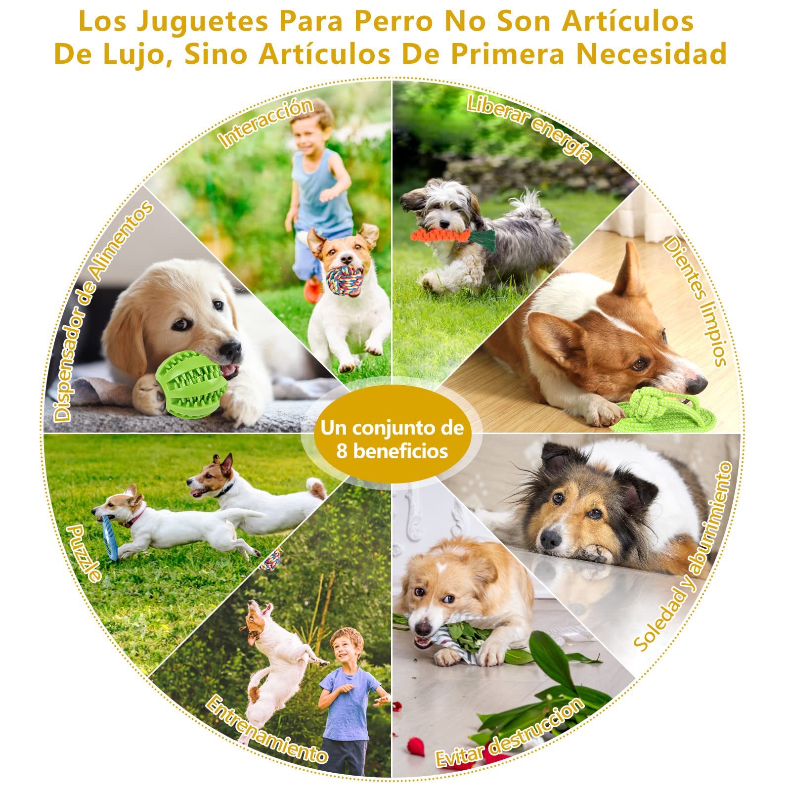 Jasonwell Juguetes para Perro 12 Piezas - Juguete Mordedera para Perro Masticar Cuerda Pelota para Cachorros Juego de Juguetes para Perros Ansiosos Juguete Interactivo para Perros Pequeños Grandes