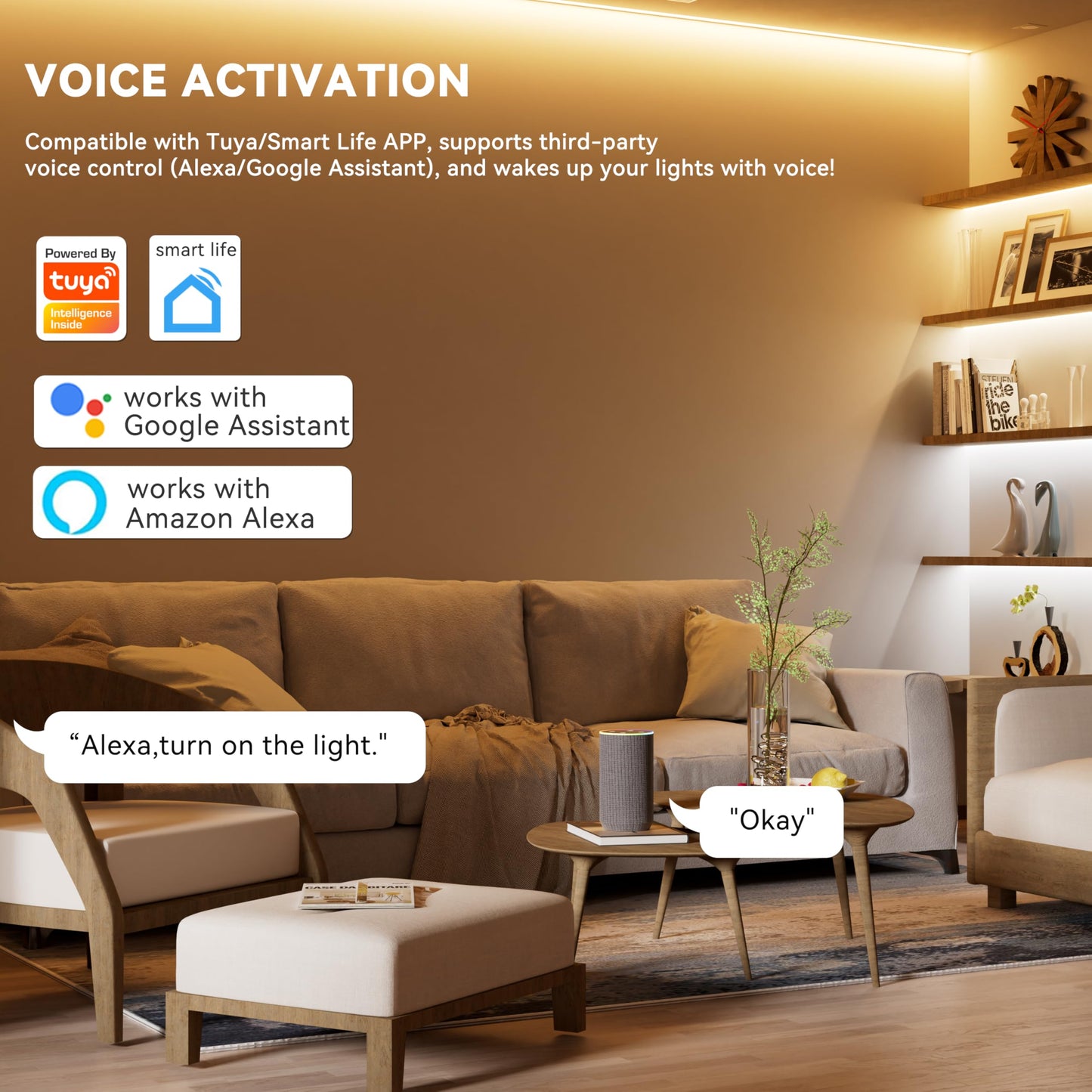 PAUTIX - driver LED WiFi 5 en 1 regulable para tira de luces LED monocromáticas CCT RGB RGBW RGBCCT compatible con Tuya APP/Smart Life/Alexa/Google Home/Siri, driver de luces DC12-24V (sin batería)
