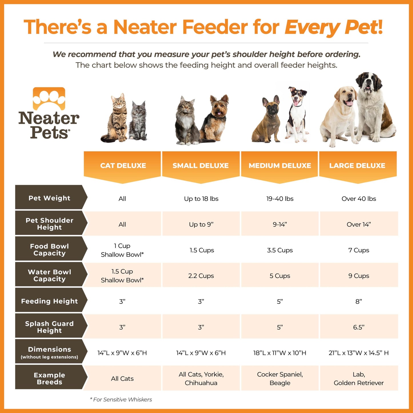 Cuencos Elevados Neater Feeder Negro medianoche Antideslizante para Perro Pequeño