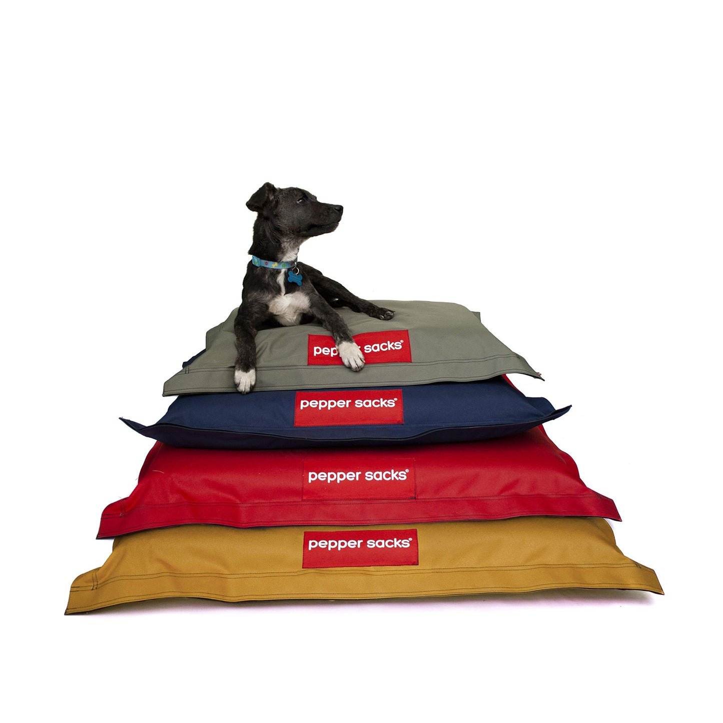 Cama de Mascota Pepper Sacks Azul Rey Grande