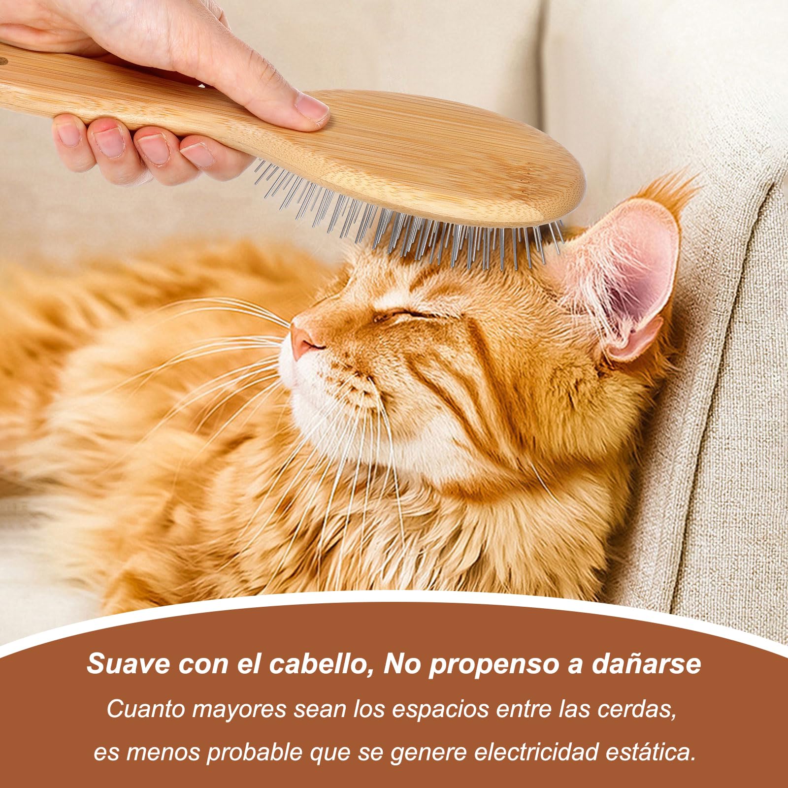 Genérico Cepillo para Perro Pelo Largo 17 mm - Cepillo Mantequilla para Perro Pomerania, Colección Original - Masaje, Baño y Eliminación de Pelo Suelto (1 Unidad)