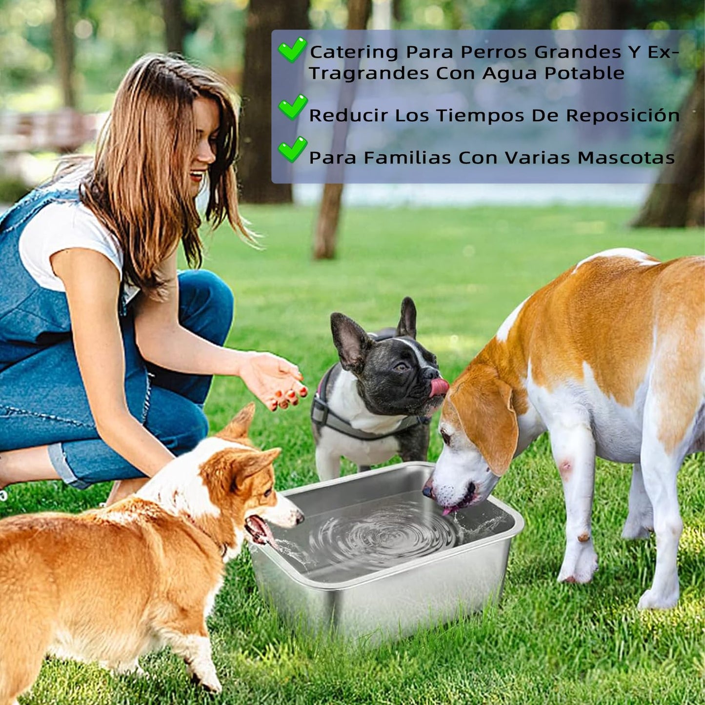Plato para Perro de Acero Inoxidable 4.7 Litros Gran Capacidad para Perros Medianos y Grandes