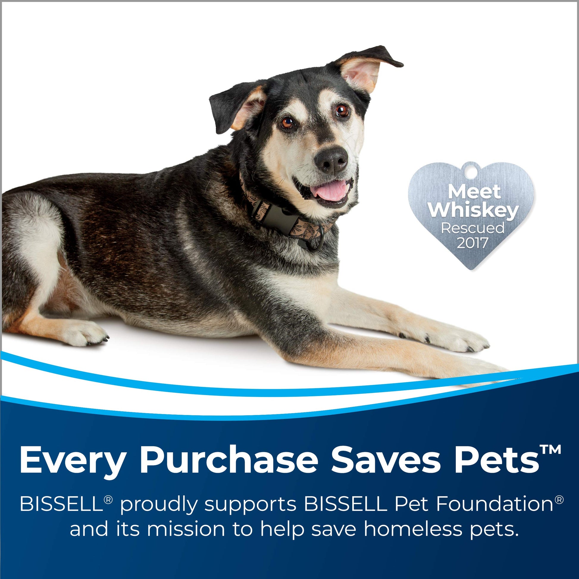 Bissell TurboClean PowerBrush Limpiador de alfombras para mascotas, 2987