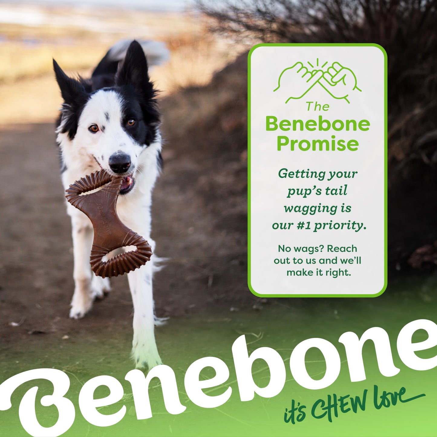 Benebone Dental Dog Chew Toy for Aggressive Chewers, Long Lasting, Made in USA, Large, Real Bacon Flavor