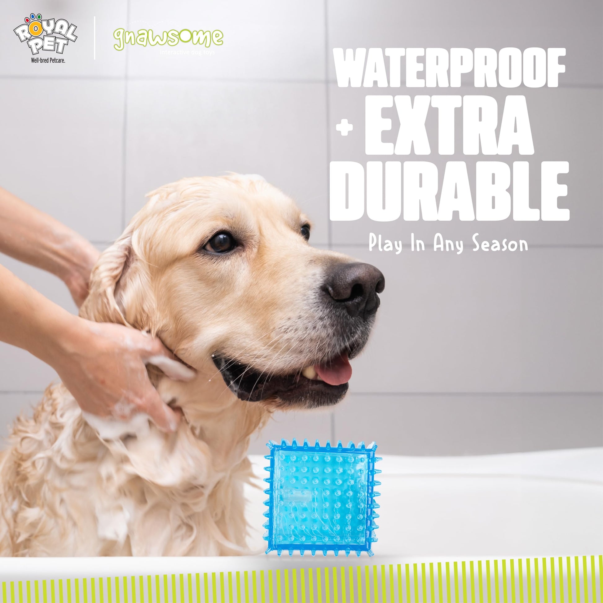 Gnawsome Juguete para Perro Spiky Squeaker Cube – Promueve la Salud Dental y de Las encías para tu Mascota, los Colores variarán, número de Modelo: 10113