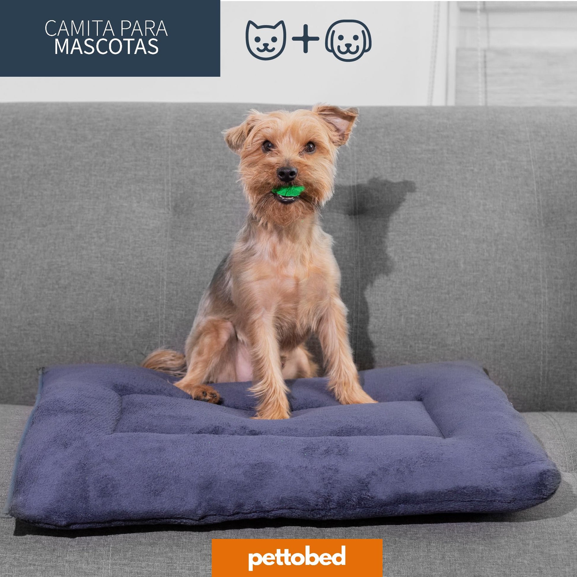 Cama para Mascotas PET TO BED Marino Suave Esponjosa Acogedora Térmica Lavable