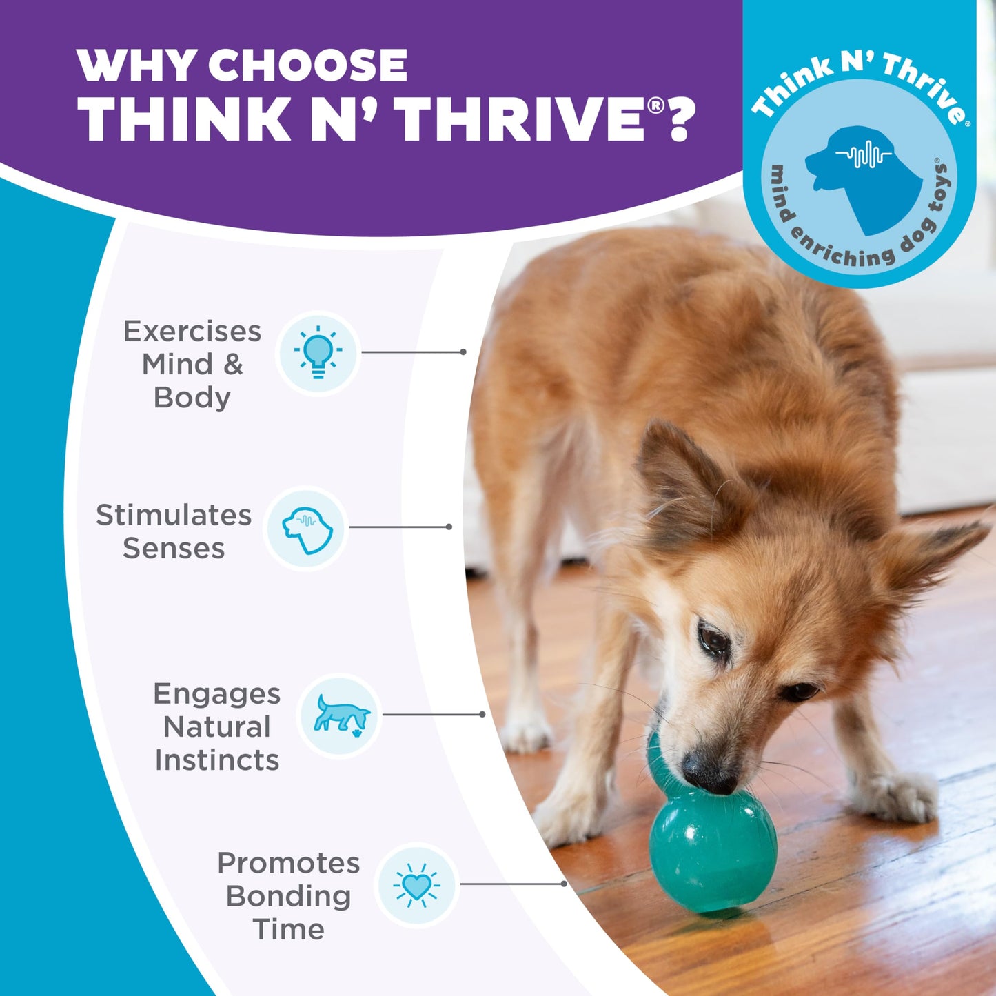 Juguete Masticable Interactivo Outward Hound Azul Mediano para Perro