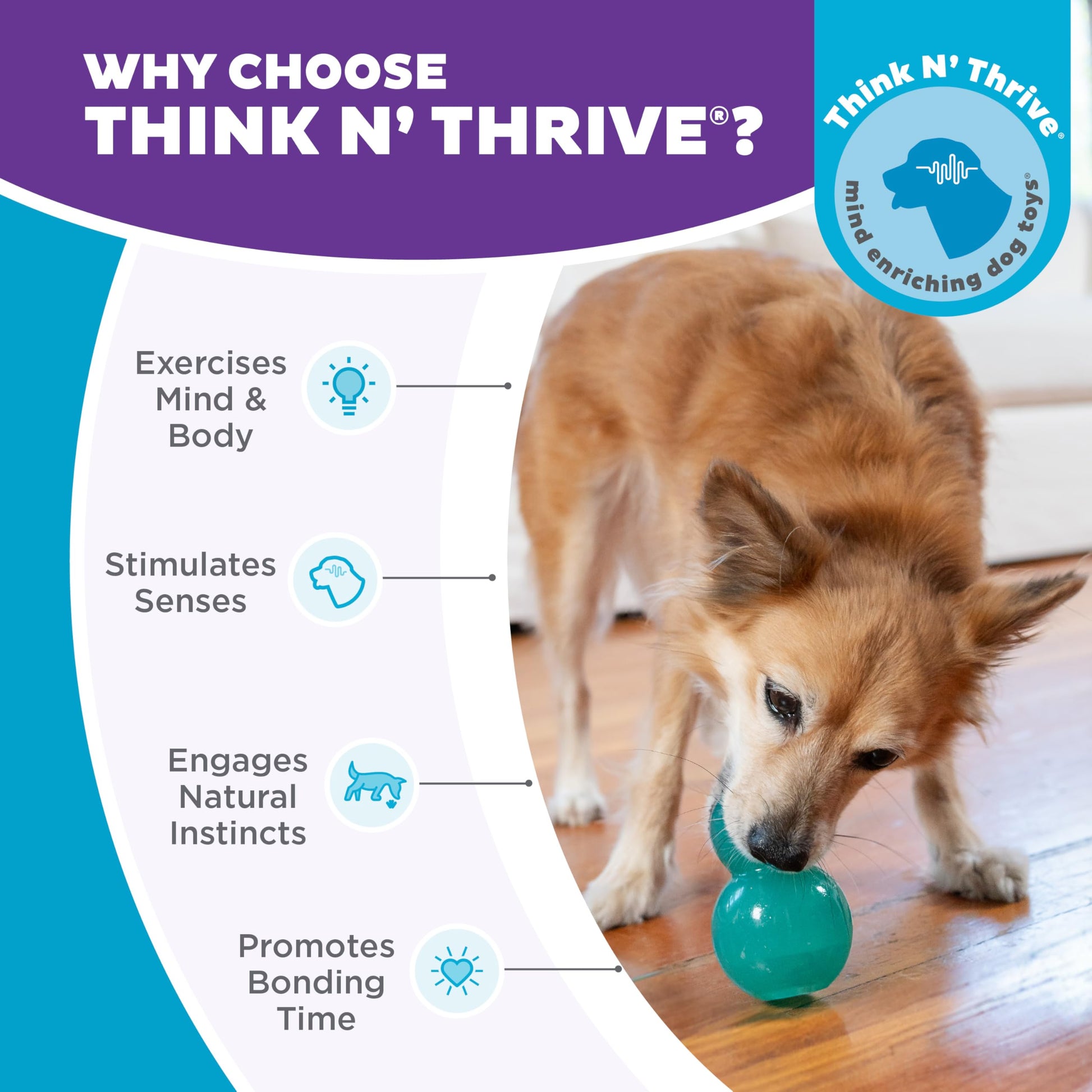 Juguete Masticable Interactivo Outward Hound Azul Mediano para Perro