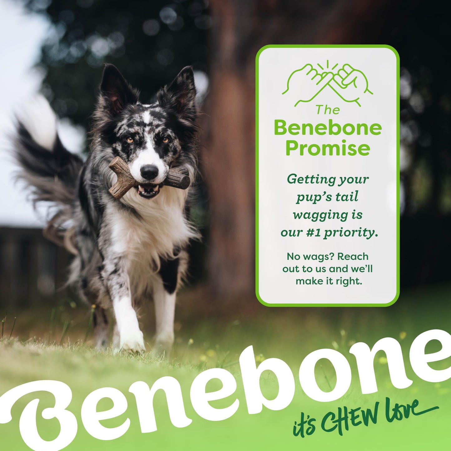 Benebone Bacon Stick - Juguete masticable de Madera Real Duradero para Perro, Fabricado en Estados Unidos, pequeño
