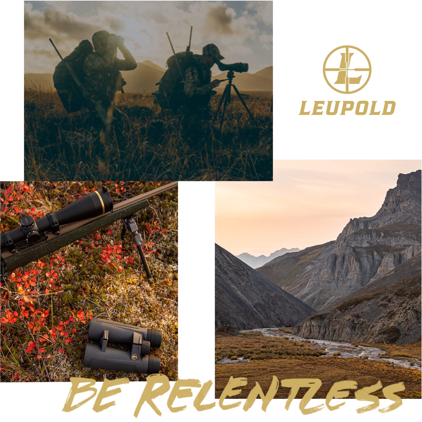 Leupold Binoculares Alpine HD Bx-2, 12X52Mm (181179)