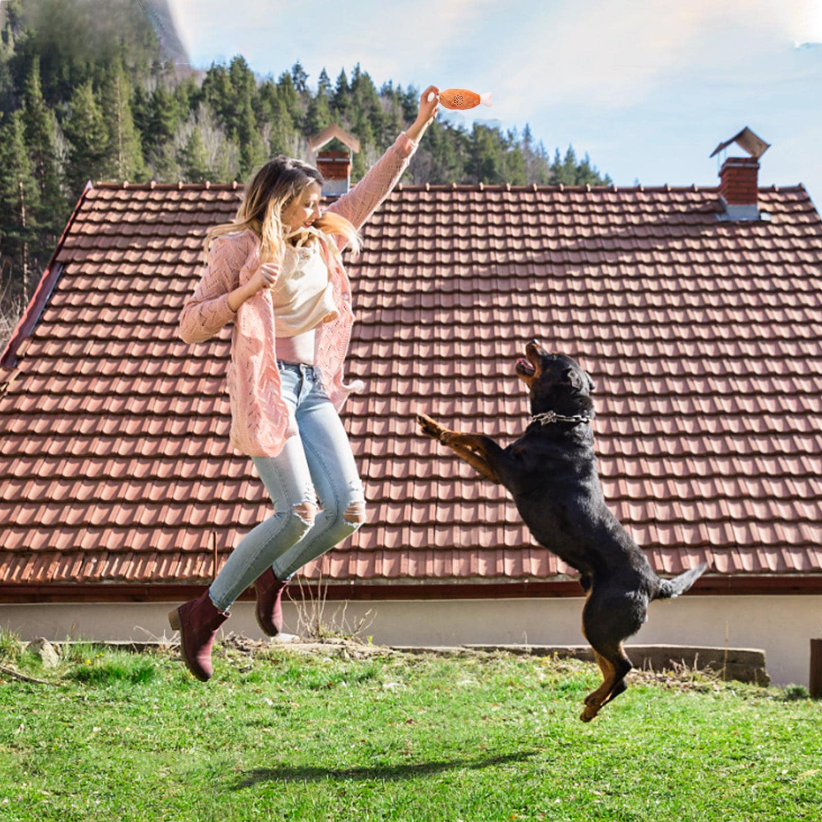 DYD Juguetes para Perros, 10 Juguetes Interactivos para Perros Pequeños y Mediano, Pequeños Juguete Perro Cachorro,Juguetes de Peluche para Mascotas