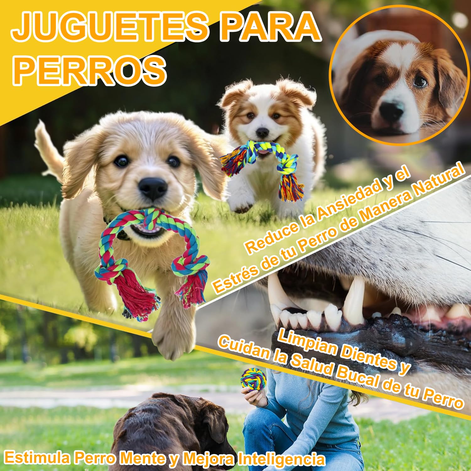 Juguetes para Perros Pequeños 15 Piezas, Juguetes Cuerda para Perro Morder con Nudo, Cuerdas Duraderos para Masticar Cachorro, Juego de Juguetes para Perros Limpiar Dientes y Alivia el Estrés