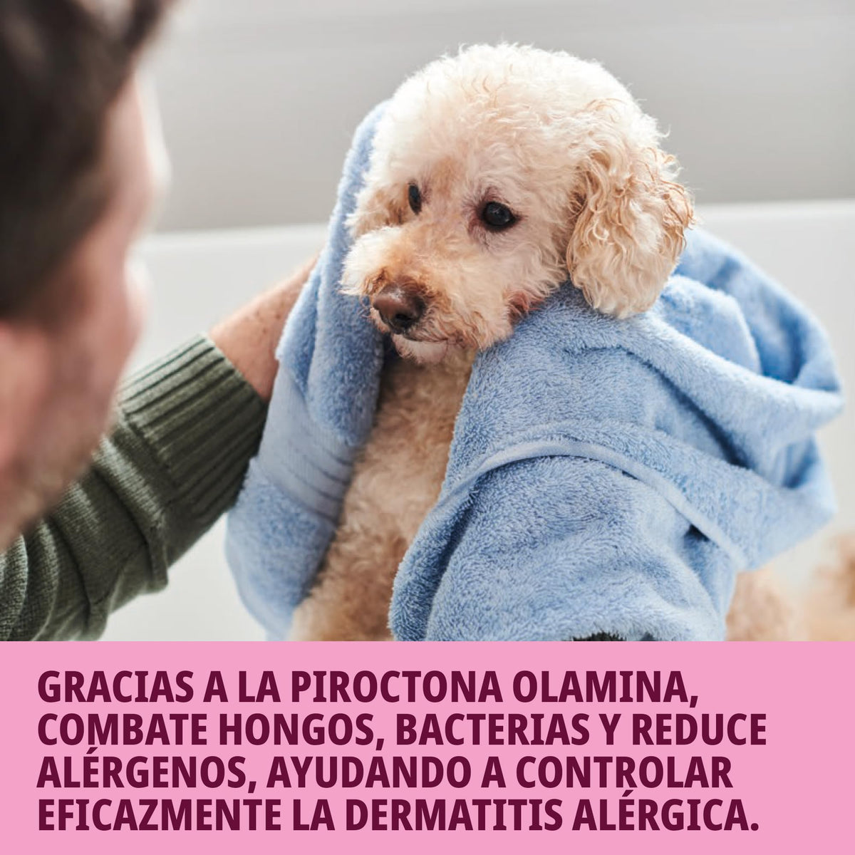 Virbac Shampoo Allermyl 250ml Perros y Gatos, Piel Sensible