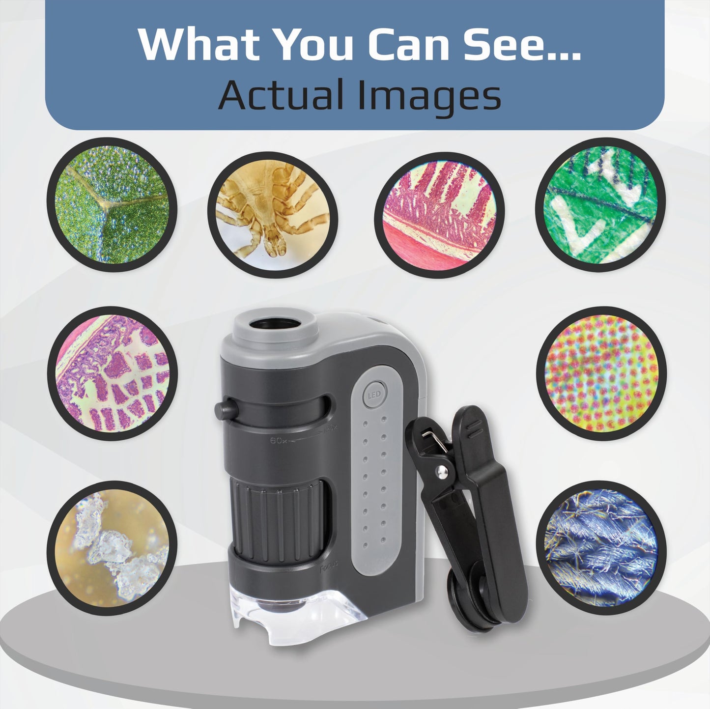 Carson MicroBrite Pro - Microscopio de Bolsillo con luz LED 60x-120x con Sistema de Lente asférica y Clip Digital para Smartphone (MM-350)