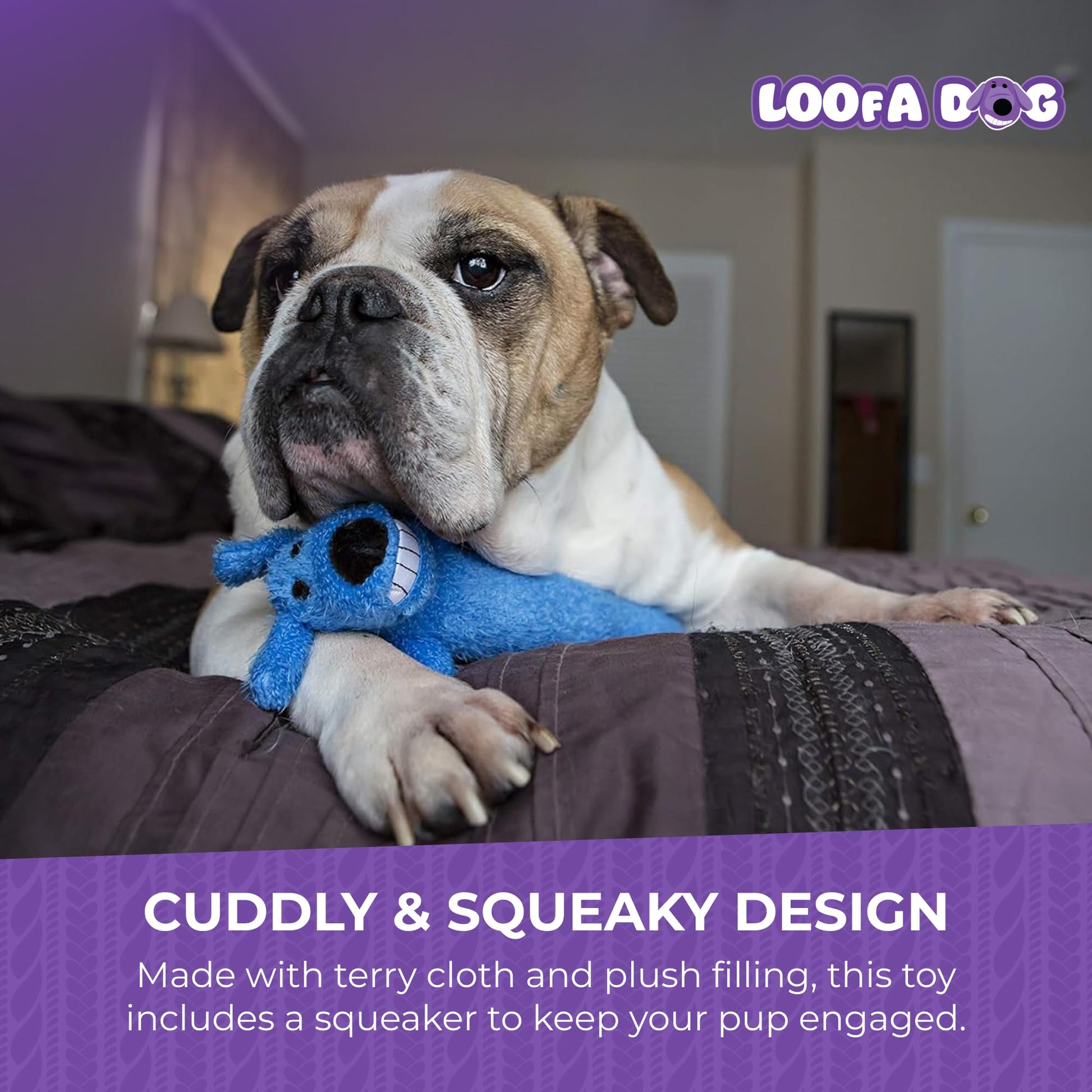Loofa Dog 12" Plush Dog Toy, Colors May Vary