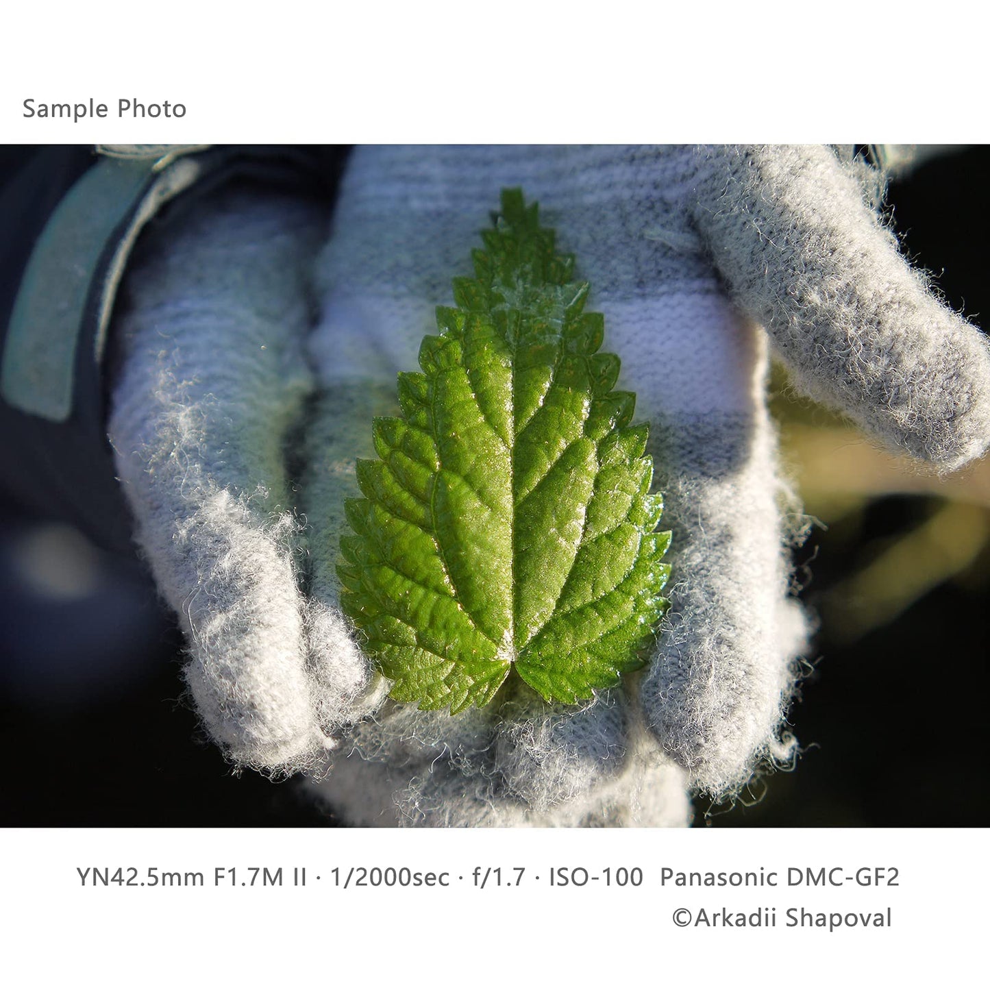 Lente Fija Yongnuo YN42.5mm F1.7M II Negro de Enfoque Automático para Cámaras Micro Cuatro Tercios