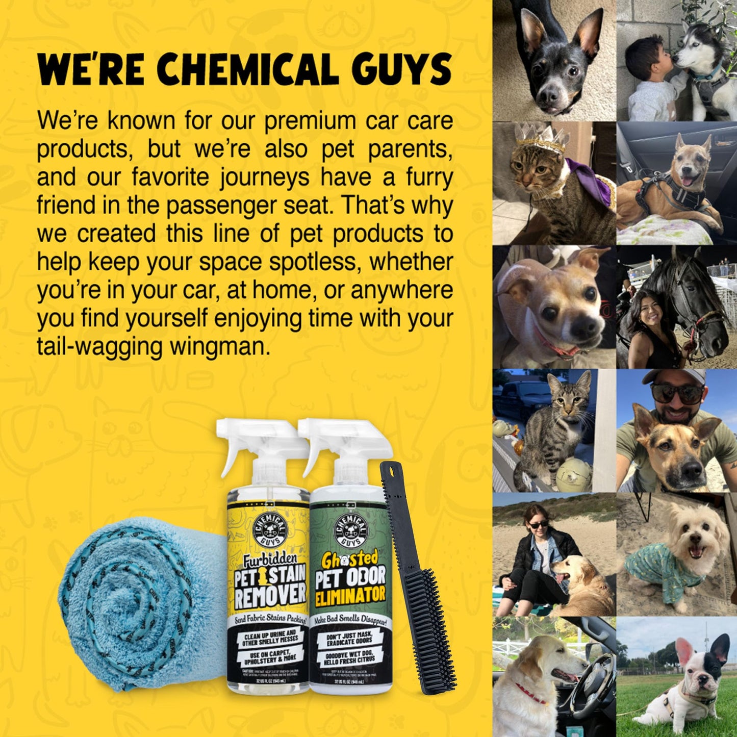 Chemical Guys ACC_S06 - cepillo para polvo profesional de goma para depilación para mascotas, (ideal para coches, camiones, SUV, vehículos recreativos, sobre la marcha, hogar, muebles y más) color