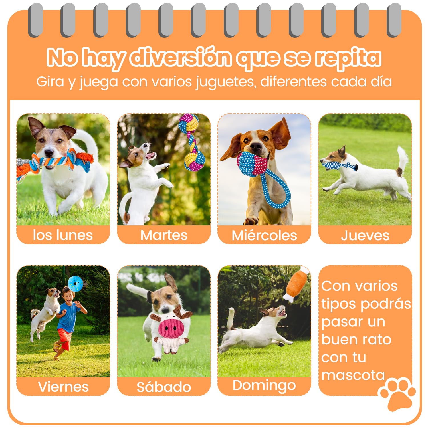 Juguete de cuerda para morder perros, 7pcs juguetes para perros pequeños, lindos juguetes para perros que chirrían ternera, juguetes duraderos para dentición cachorros, cuerdas para masticar cachorro