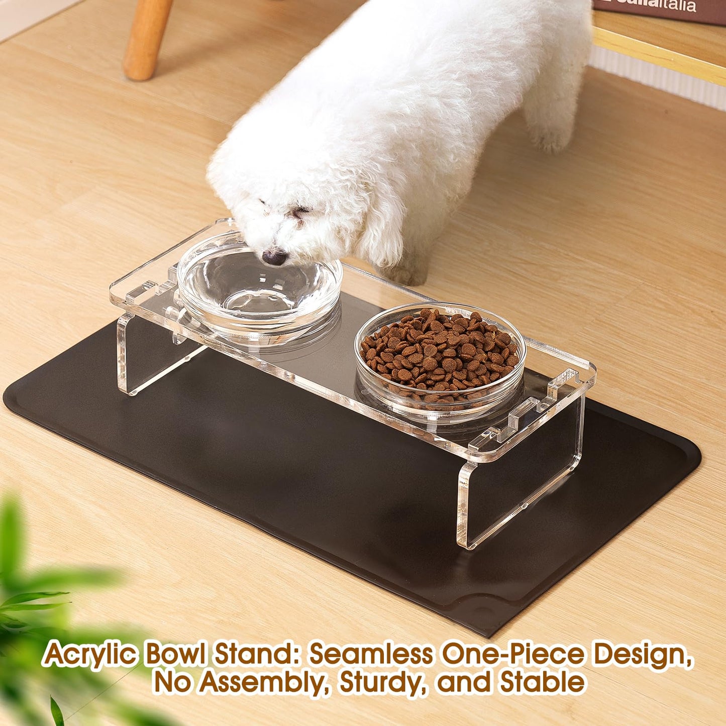 Juego de Cuencos Elevados Acrílico 9,5 cm para Mascotas Pequeñas Con Acero Inoxidable y Vidrio para Alimentos y Agua
