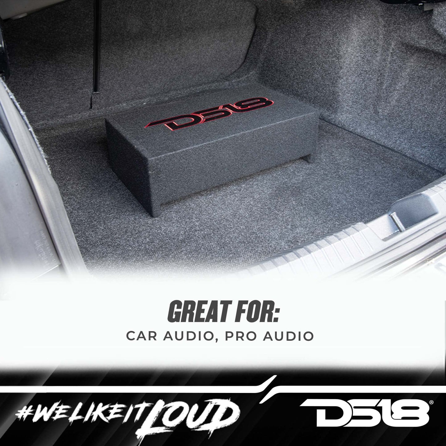 DS18 EN-DF10 - Carcasa de subwoofer de 10 Pulgadas, diseño Compacto y Sellado para Coche, Camiones, 600 W, Color Negro