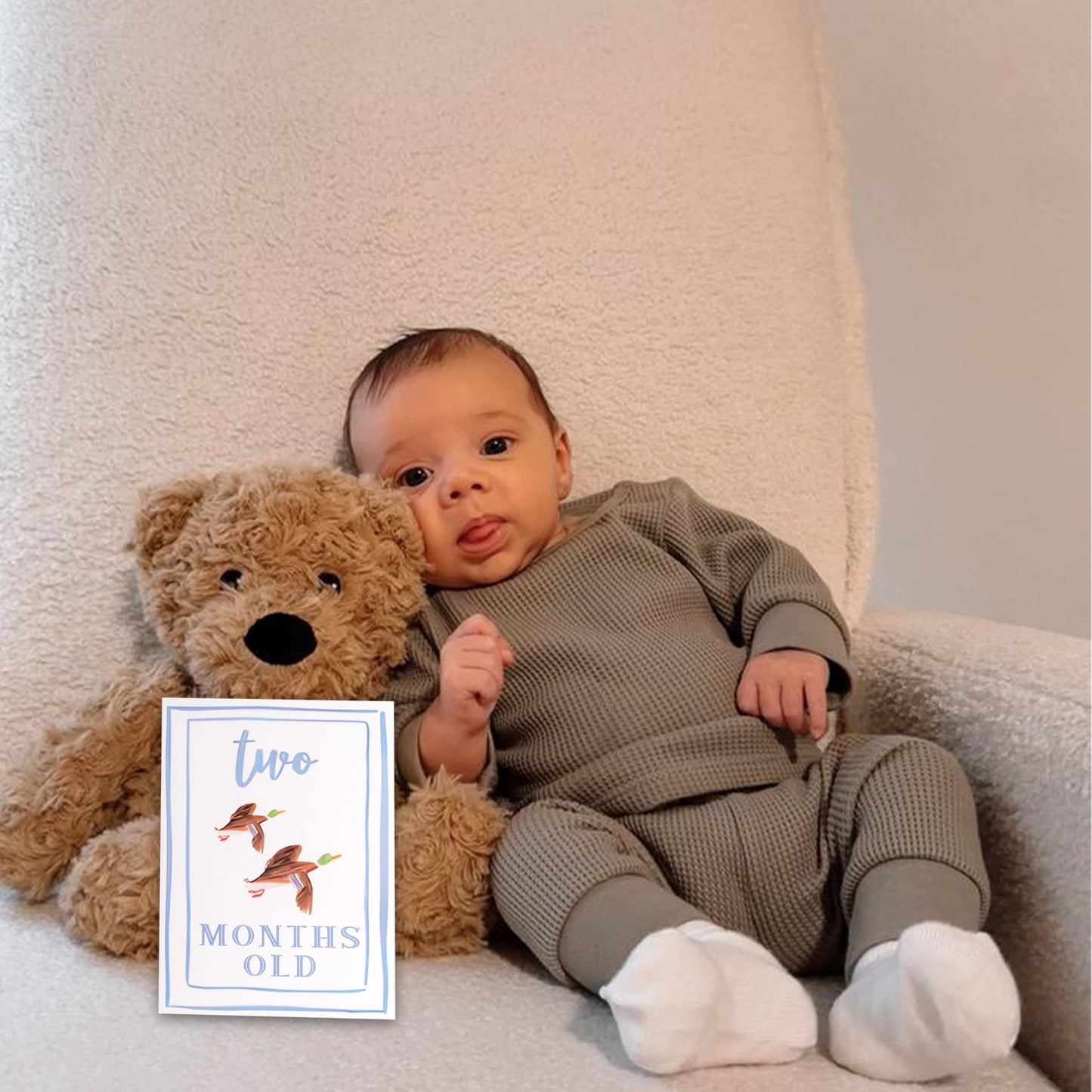 CIEQR - Juego de tarjetas de hito mensuales de acuarela, marcadores mensuales para recién nacidos hasta 12 meses, accesorio para fotos, baby shower (azul)