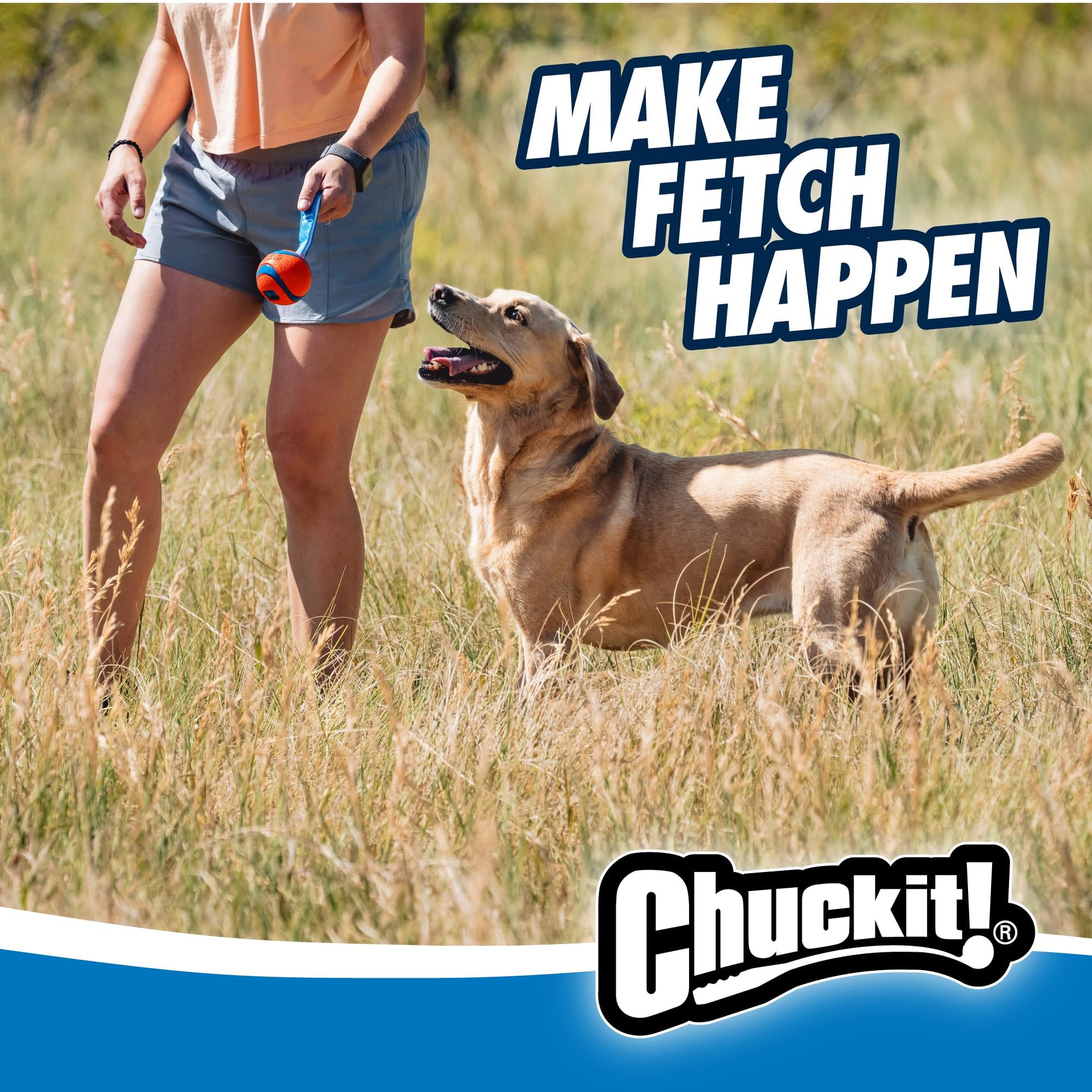 Chuckit! Medium Ultra Tug