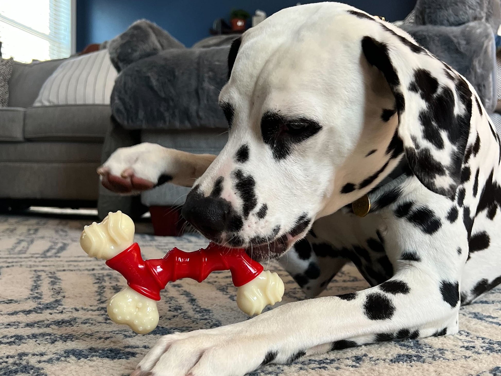 Juguete de Perro Nylabone Naranja y Blanco sabor Tocino