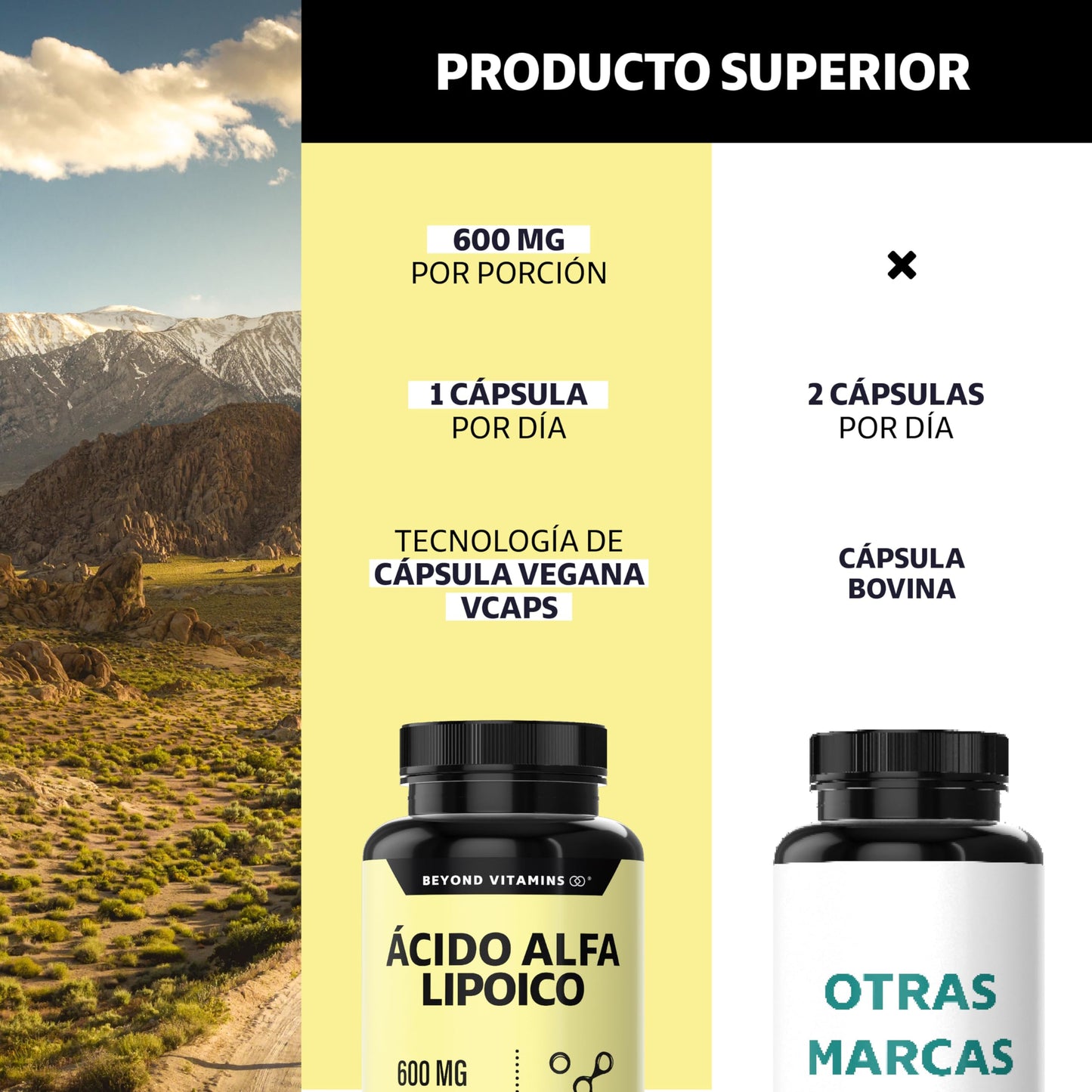 Beyond Vitamins | Ácido Alfa Lipóico (ALA) 600mg por cápsula, potenciado con Cúrcuma | Alpha Lipoic Acid de 1 sóla cápsula al día | 2 meses | Cápsulas Veganas, apto para todas las dietas