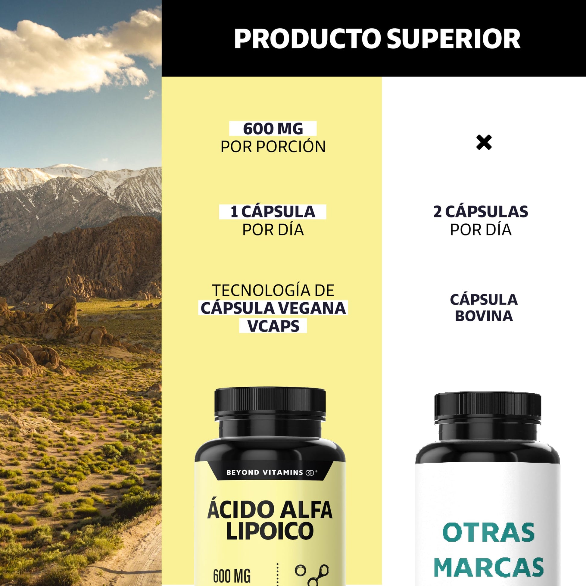 Beyond Vitamins | Ácido Alfa Lipóico (ALA) 600mg por cápsula, potenciado con Cúrcuma | Alpha Lipoic Acid de 1 sóla cápsula al día | 2 meses | Cápsulas Veganas, apto para todas las dietas