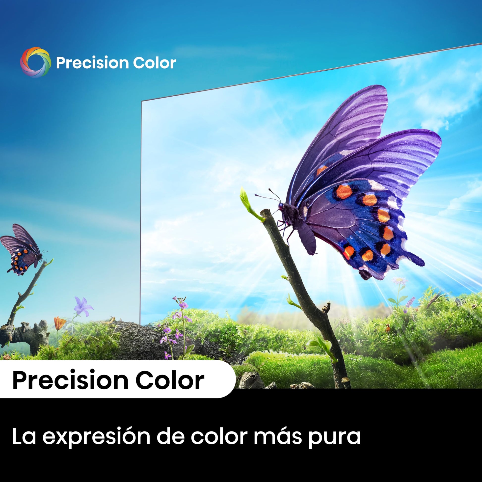 Hisense Television A6N Pantalla 43 Pulgadas, Smart Google TV UHD 4K,Control Remoto por Voz con Alexa, Dolby Vision, Amplia Gama de Colores, Modo de Juego Plus, ALLM,mira TV en Vivo sin Cable