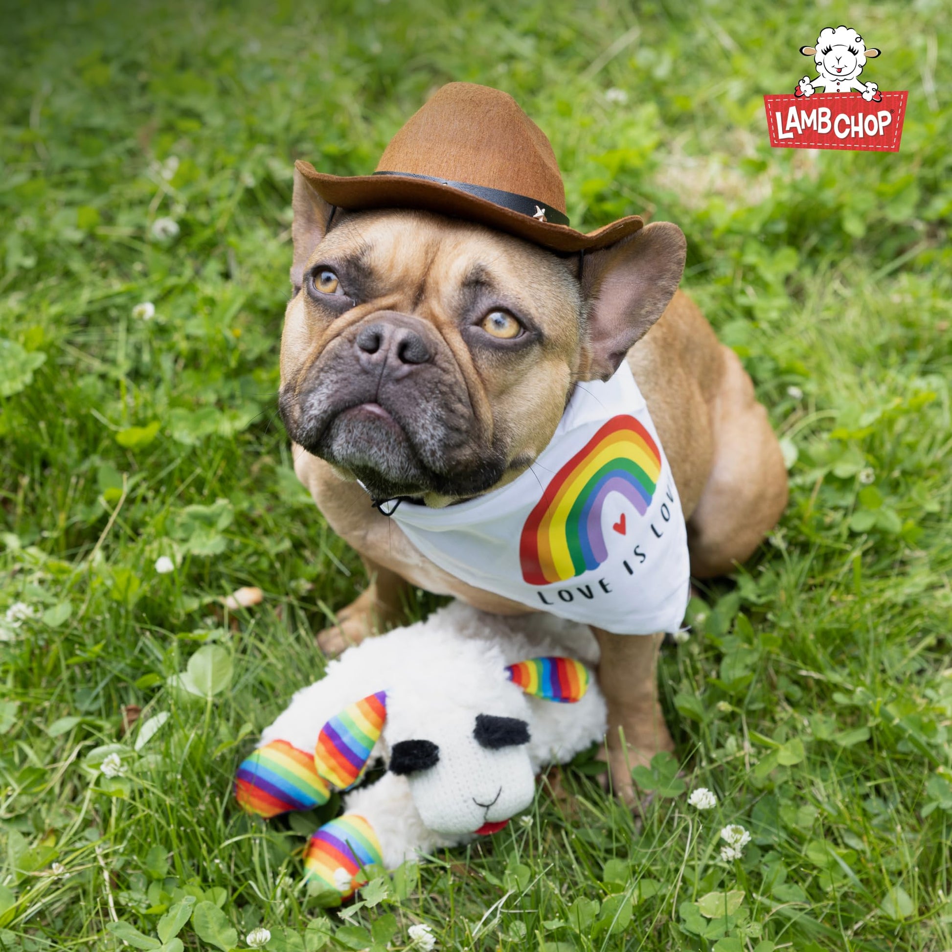 Juguete de Peluche para Perros Multipet Blanco Lambchop