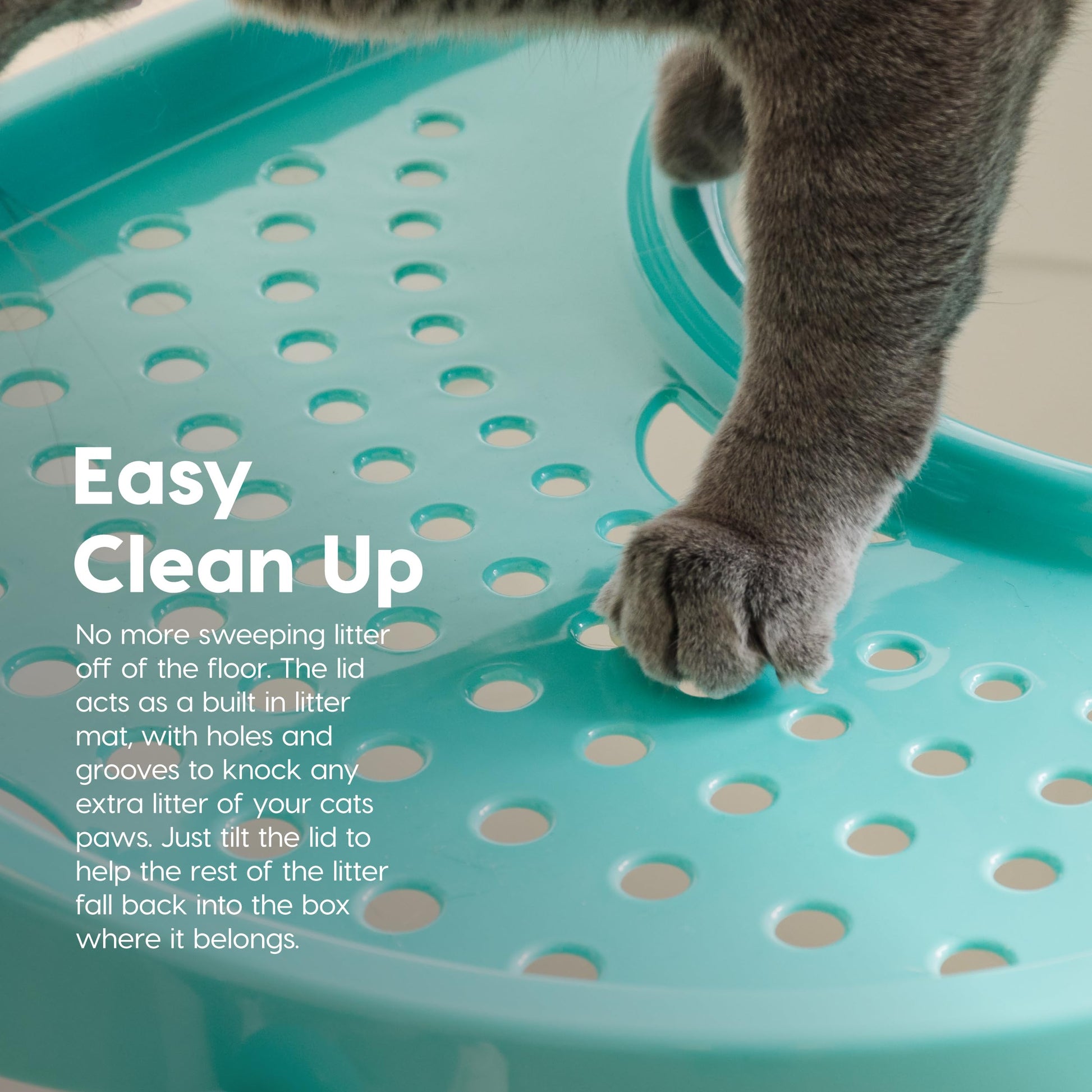 Arenero Ovalado con Entrada Superior IRIS USA Blanco Verde Agua