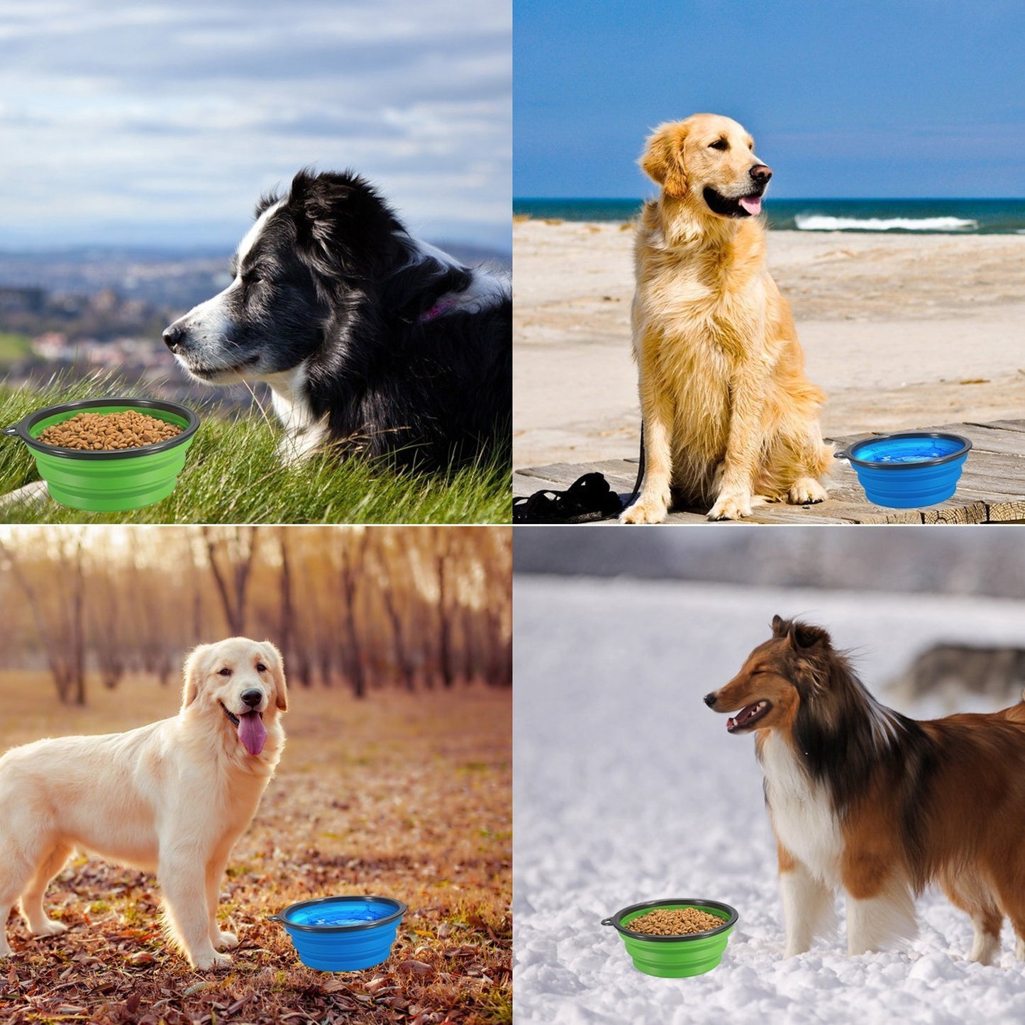 Platos para Perro Wolfi Plegables y Portátiles Grado Alimenticio Libre de BPA para Viajar