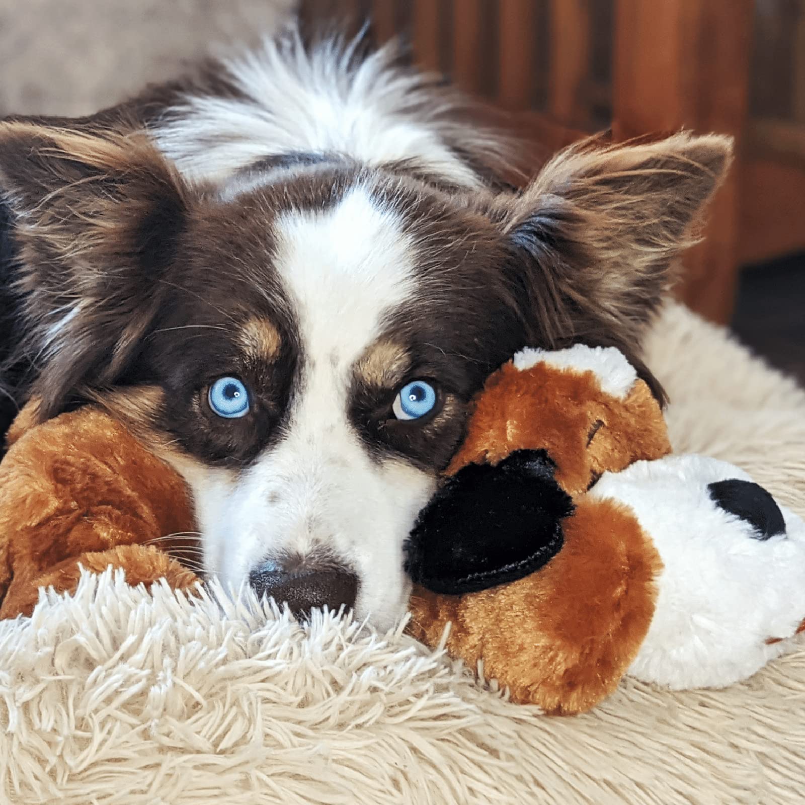 Juguete Comportamental Smart Pet Love Brown and White