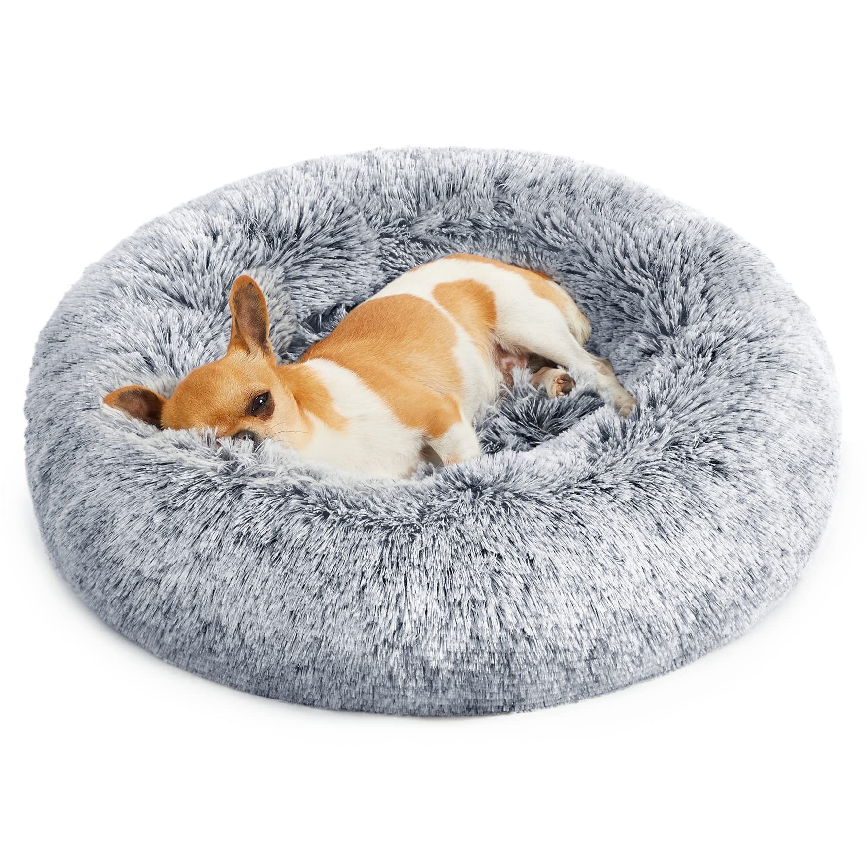 Feandrea Cama de Perros, Cama para Mascotas, Diámetro de 50 cm, Cojín Central Extraíble y Lavable, Alfombra de Felpa, Gris Ombré MPGW037G01