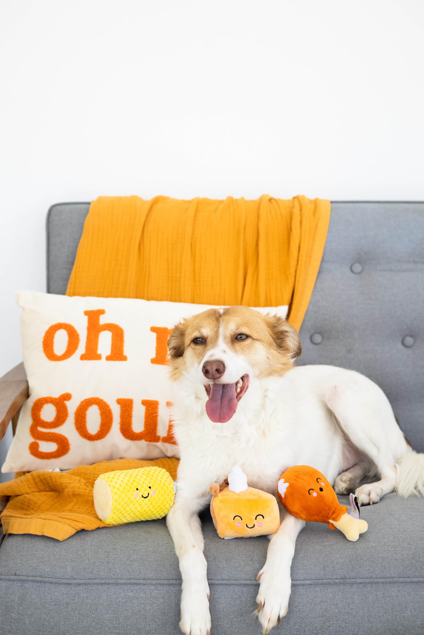 Juguetes para Perros con Cena de Acción de Gracias, Juego de 3, Juguetes de Peluche para Perros, Juguetes para Mascotas navideñas, Accesorios imprescindibles para propietarios de Mascotas