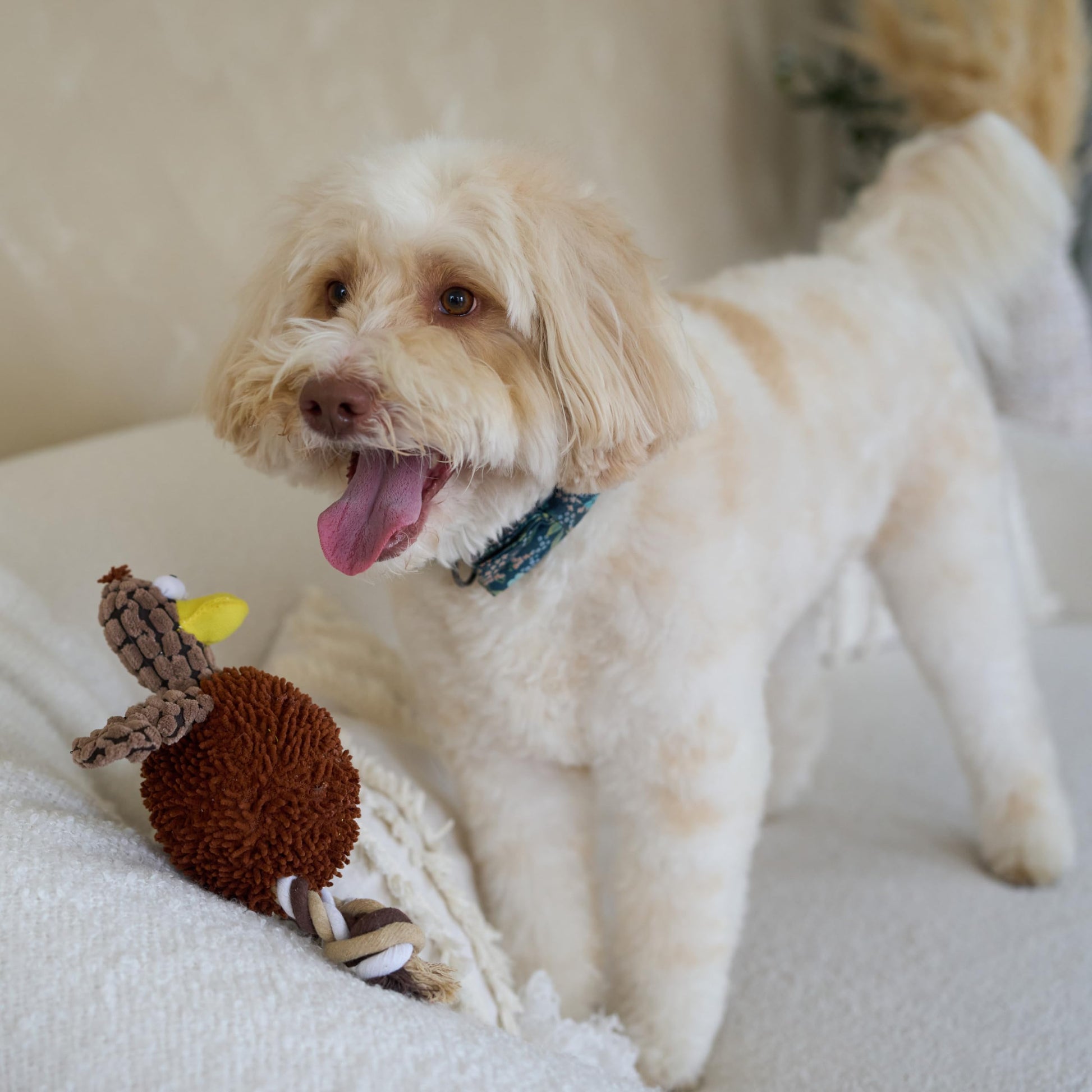 Juguete para Perros Ethical Pets Pollo Gigglers Multicolor