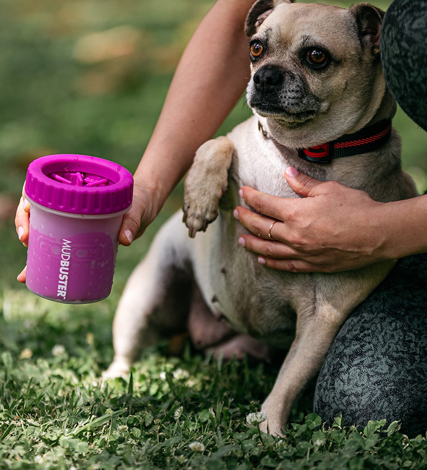 Dexas MudBuster Limpiador portátil para Patas de Perro, pequeño, Fucsia, Accesorio para Mascotas de Calidad Premium